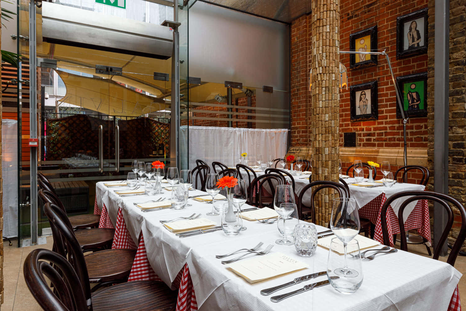 Conservatory & Garden 5