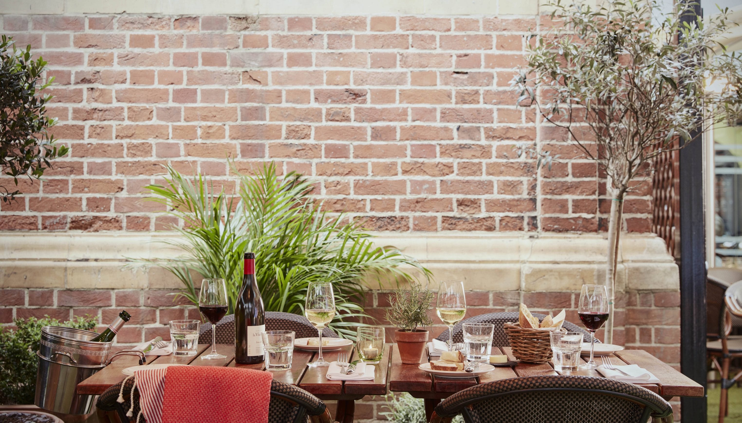 Conservatory & Garden  6