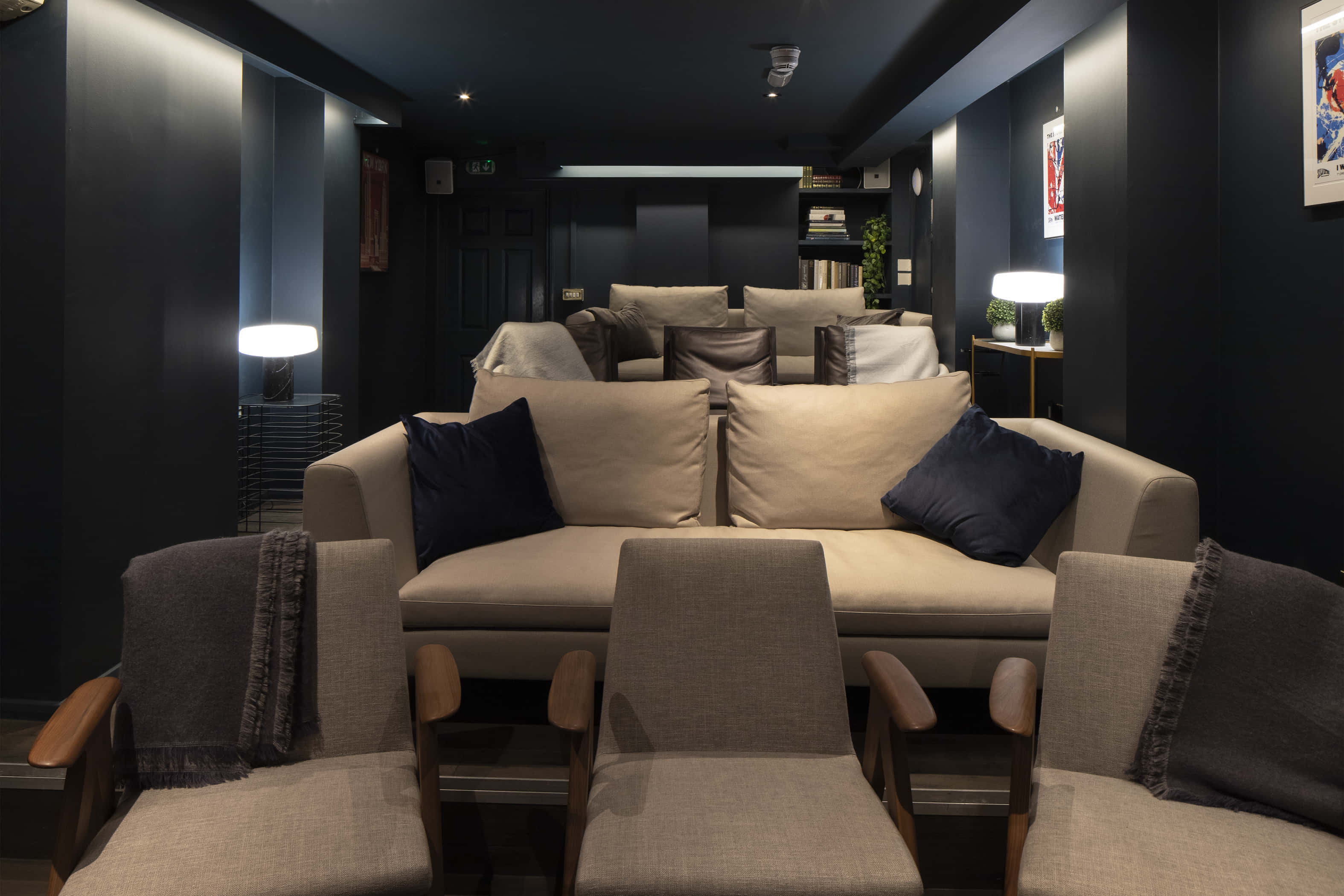 The Cinema / Screening Room 1