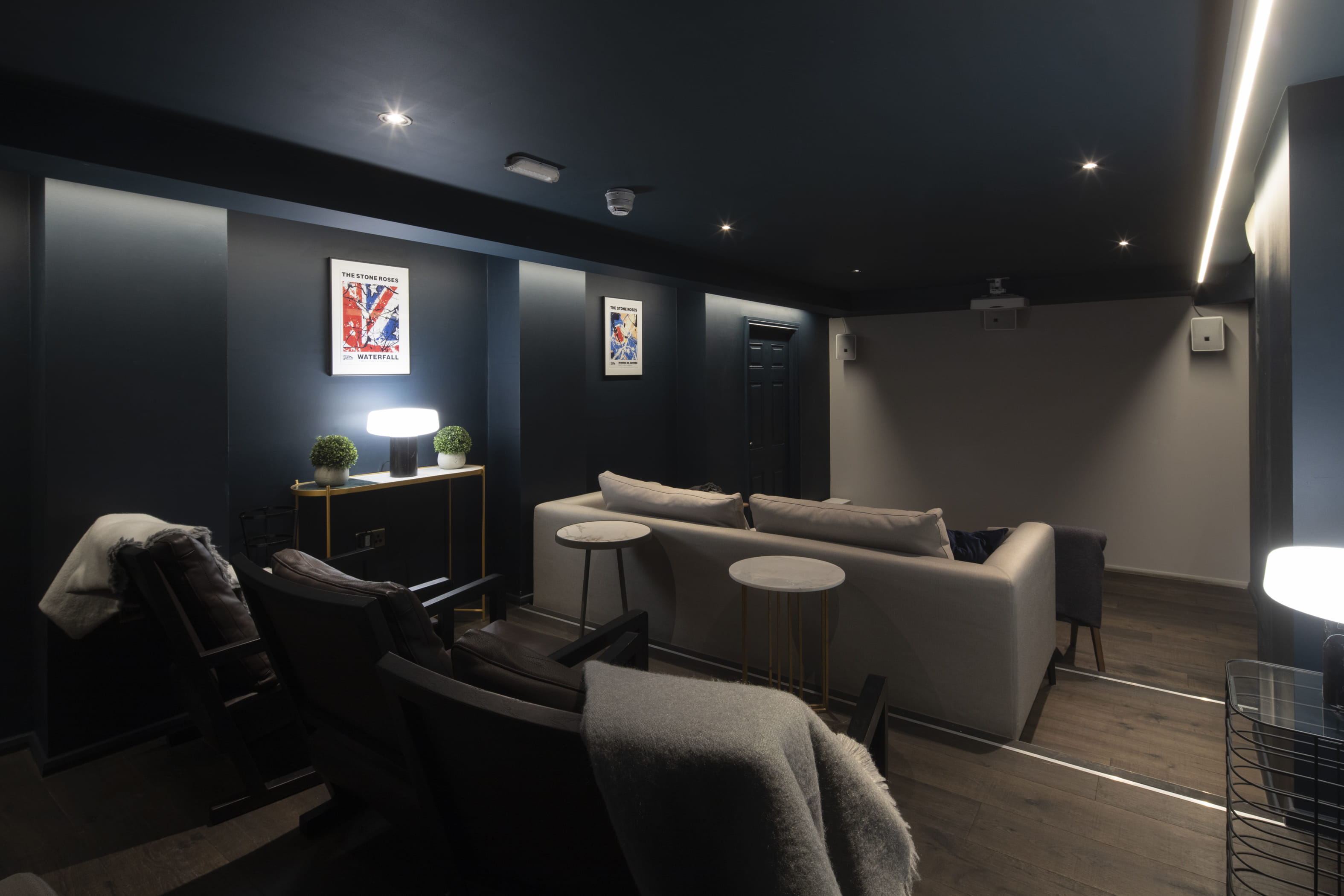 The Cinema / Screening Room  2