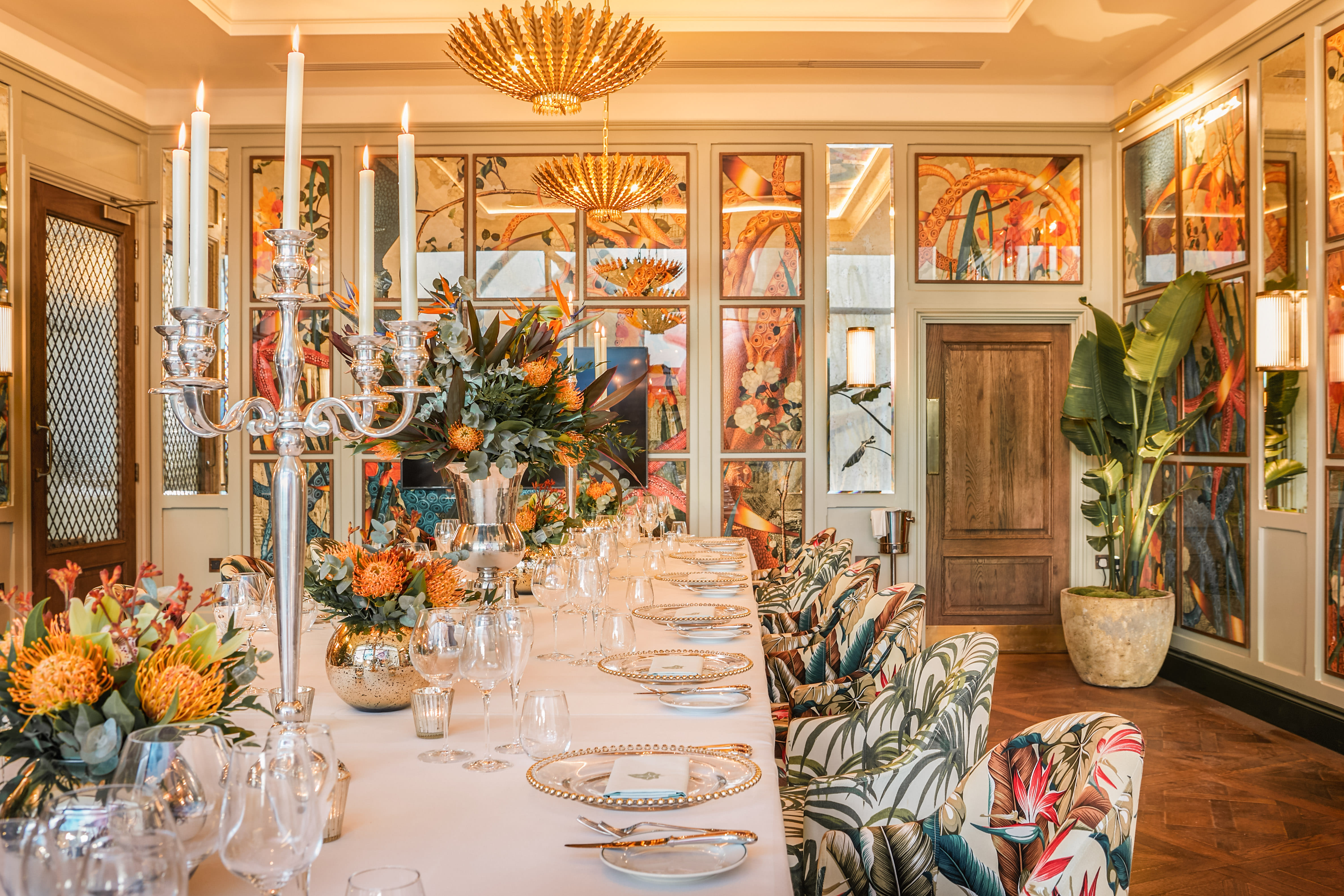 The Shearwater Room  1