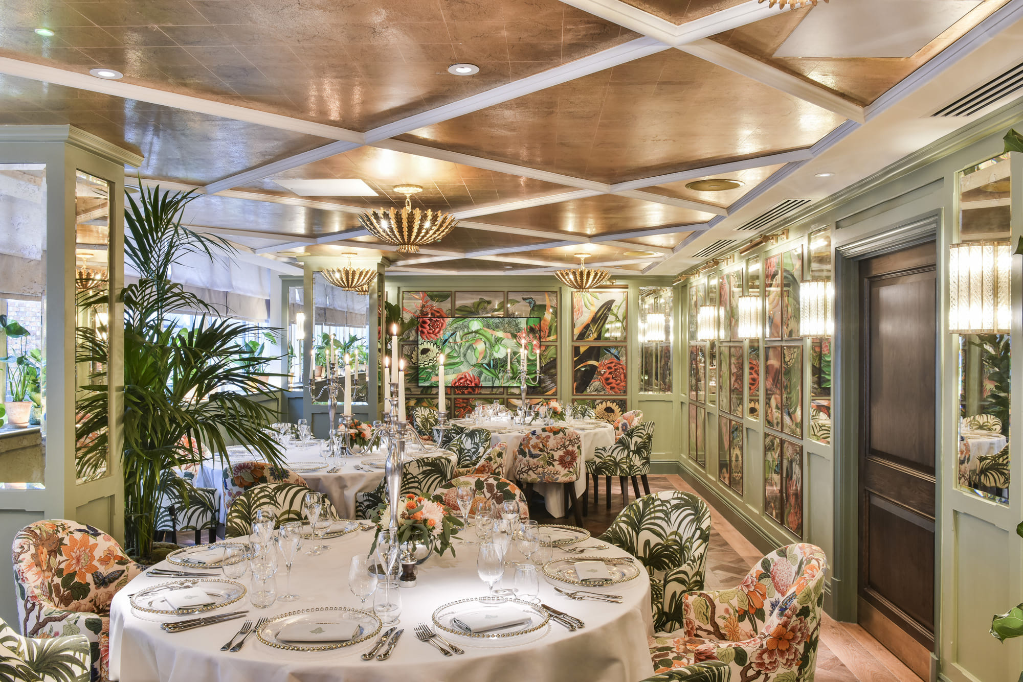 The Botanical Room  2