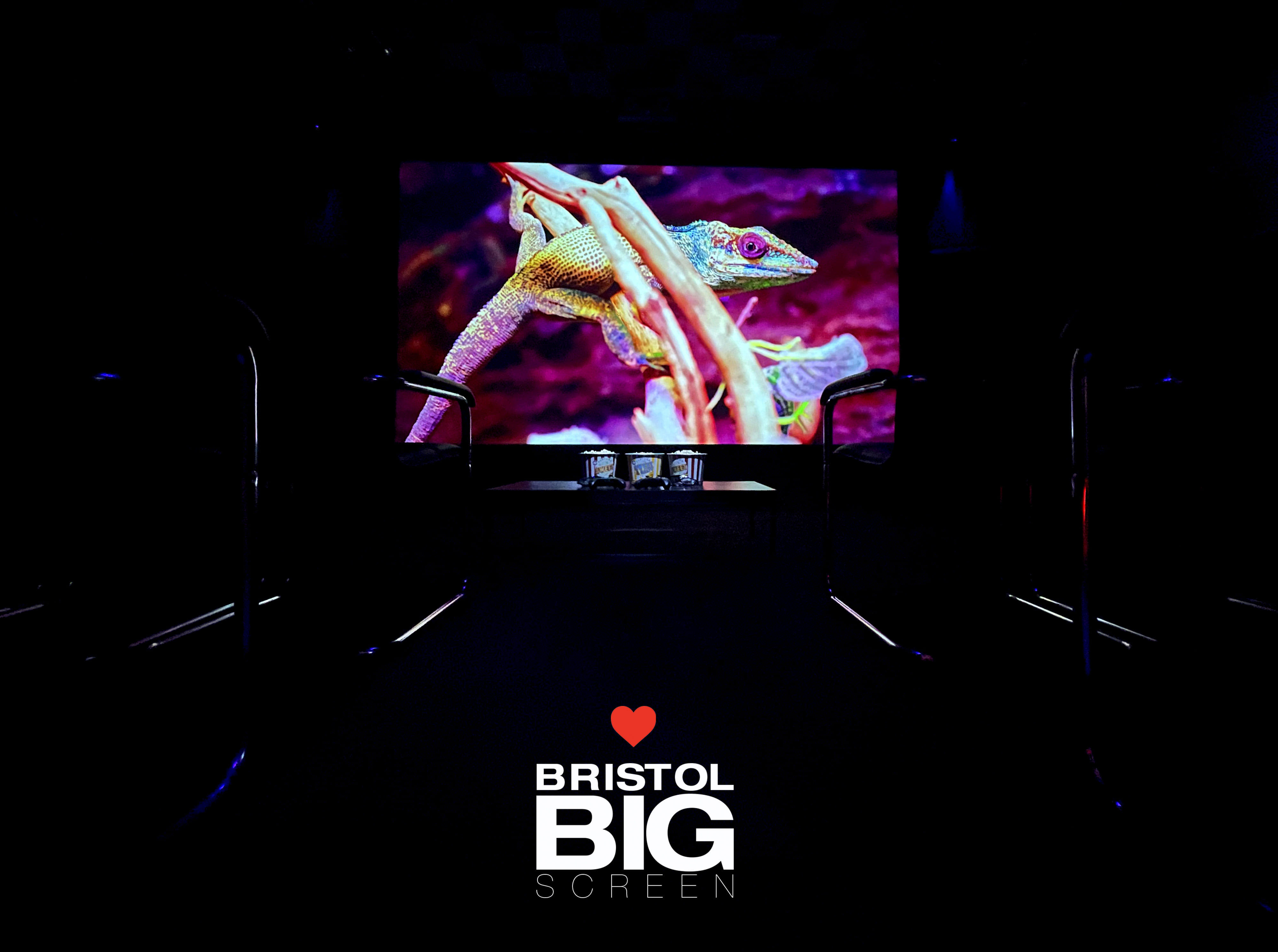 Bristol Big Screen: Screening Room | 200" 4K HDR10 3D Dolby Atmos 8