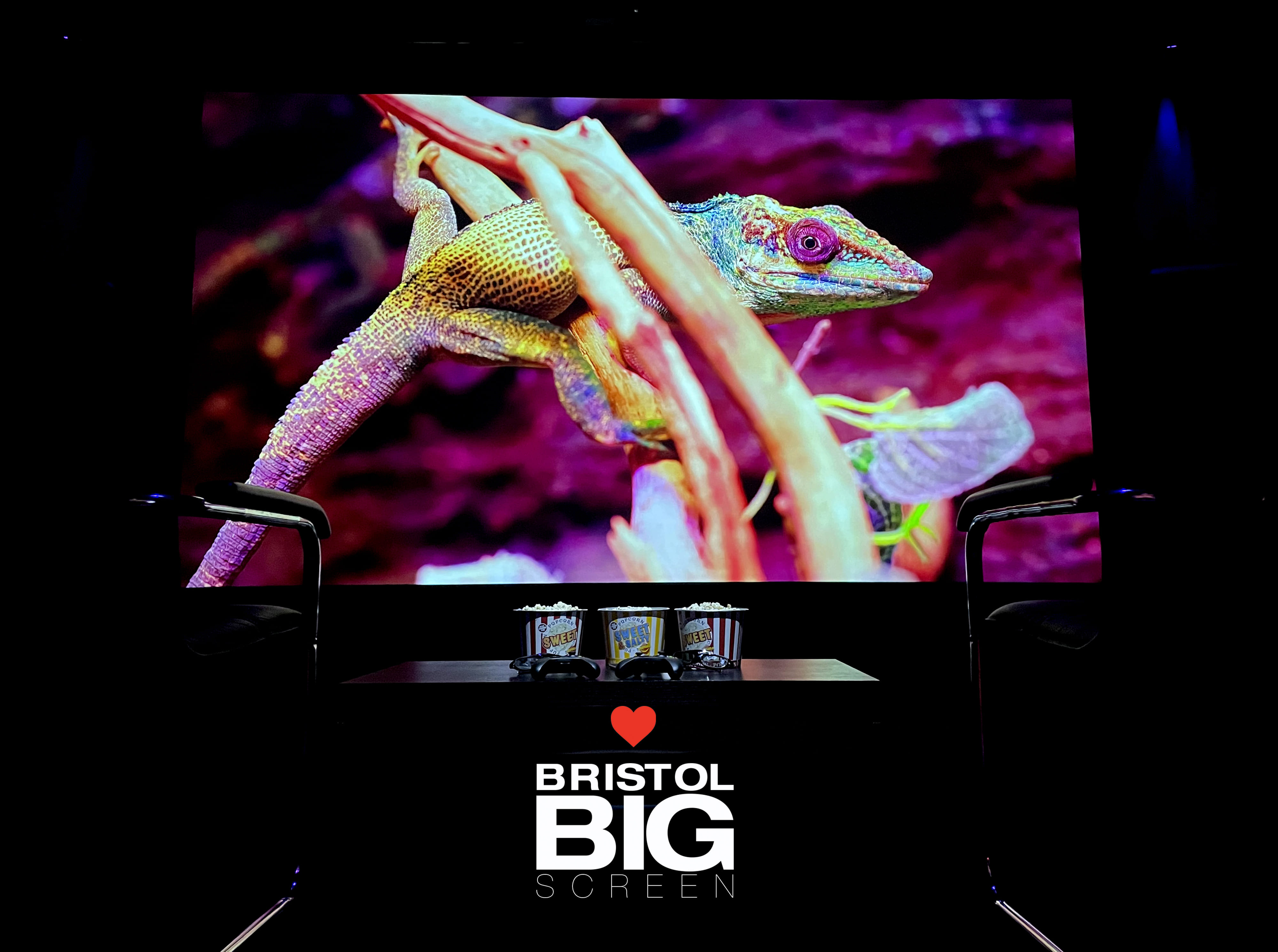 Bristol Big Screen: Screening Room | 200" 4K HDR10 3D Dolby Atmos 2