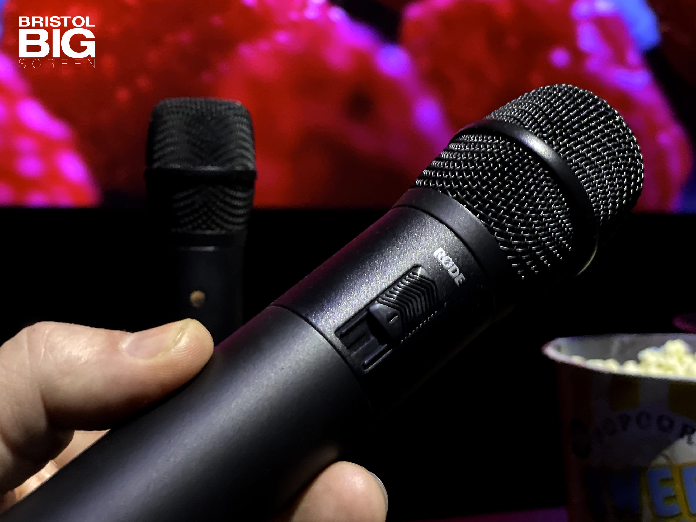 Bristol Big Screen: Screening Room | 200" 4K HDR10 3D Dolby Atmos 23