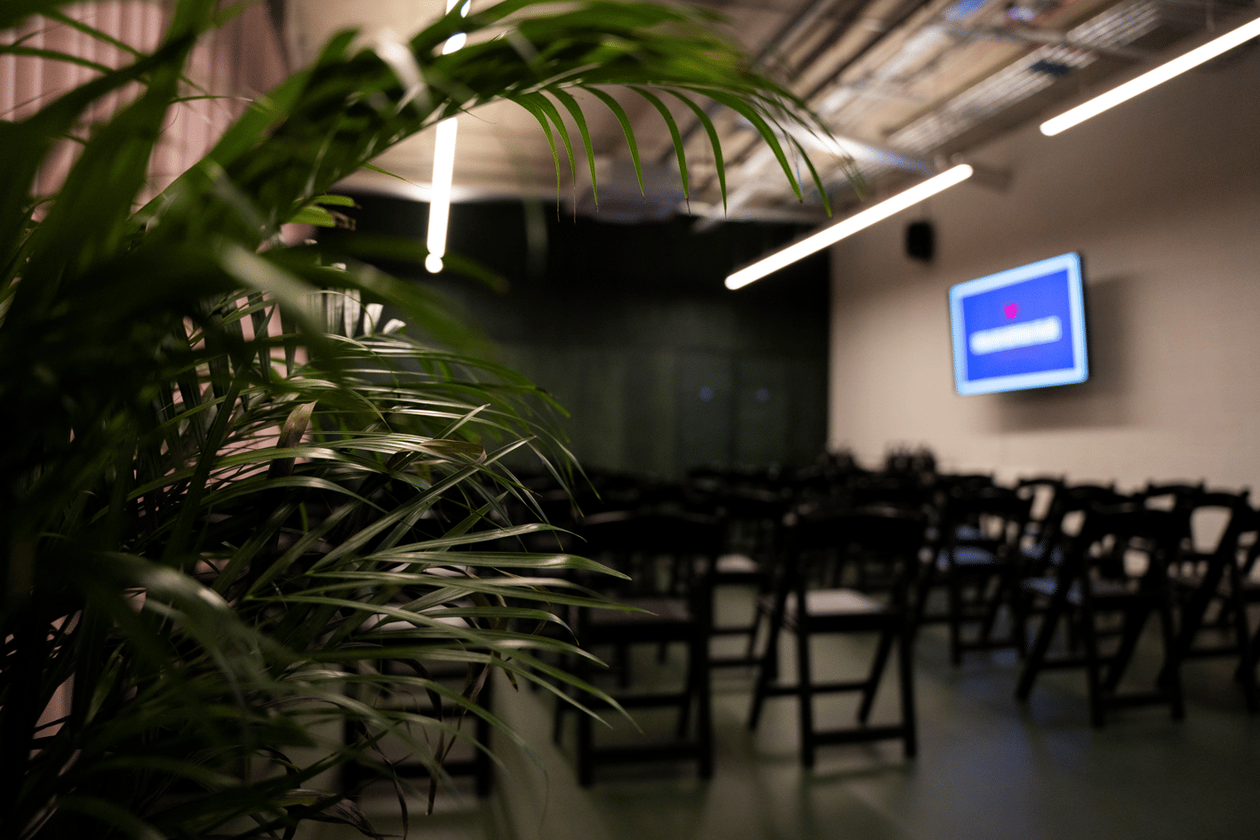 Work + Play. Studio 1