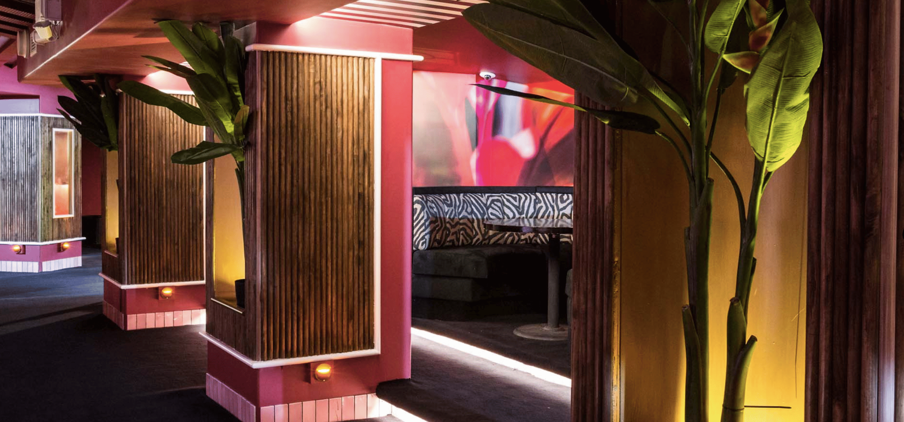 Club + Discotheque 2