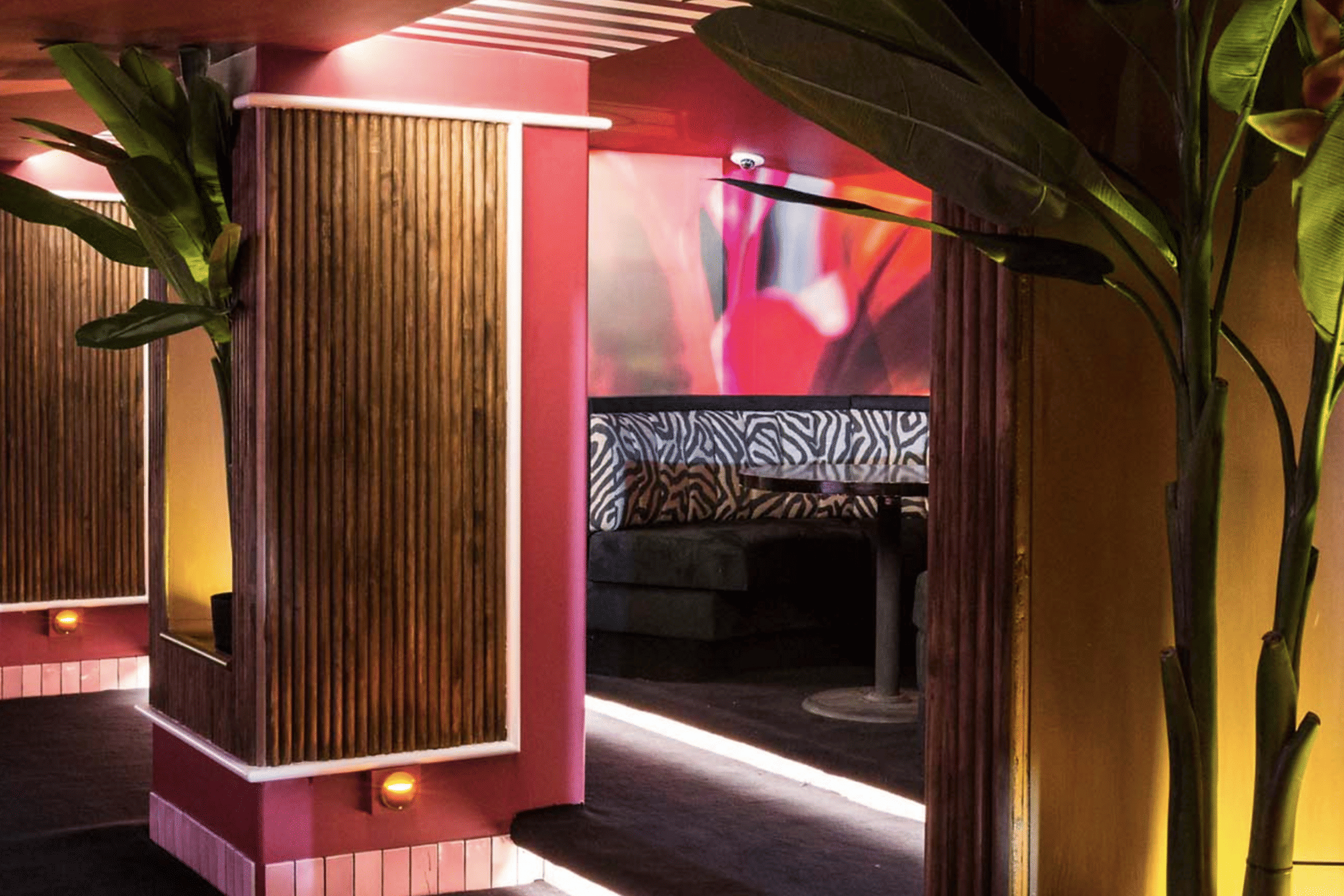 Club + Discotheque 2