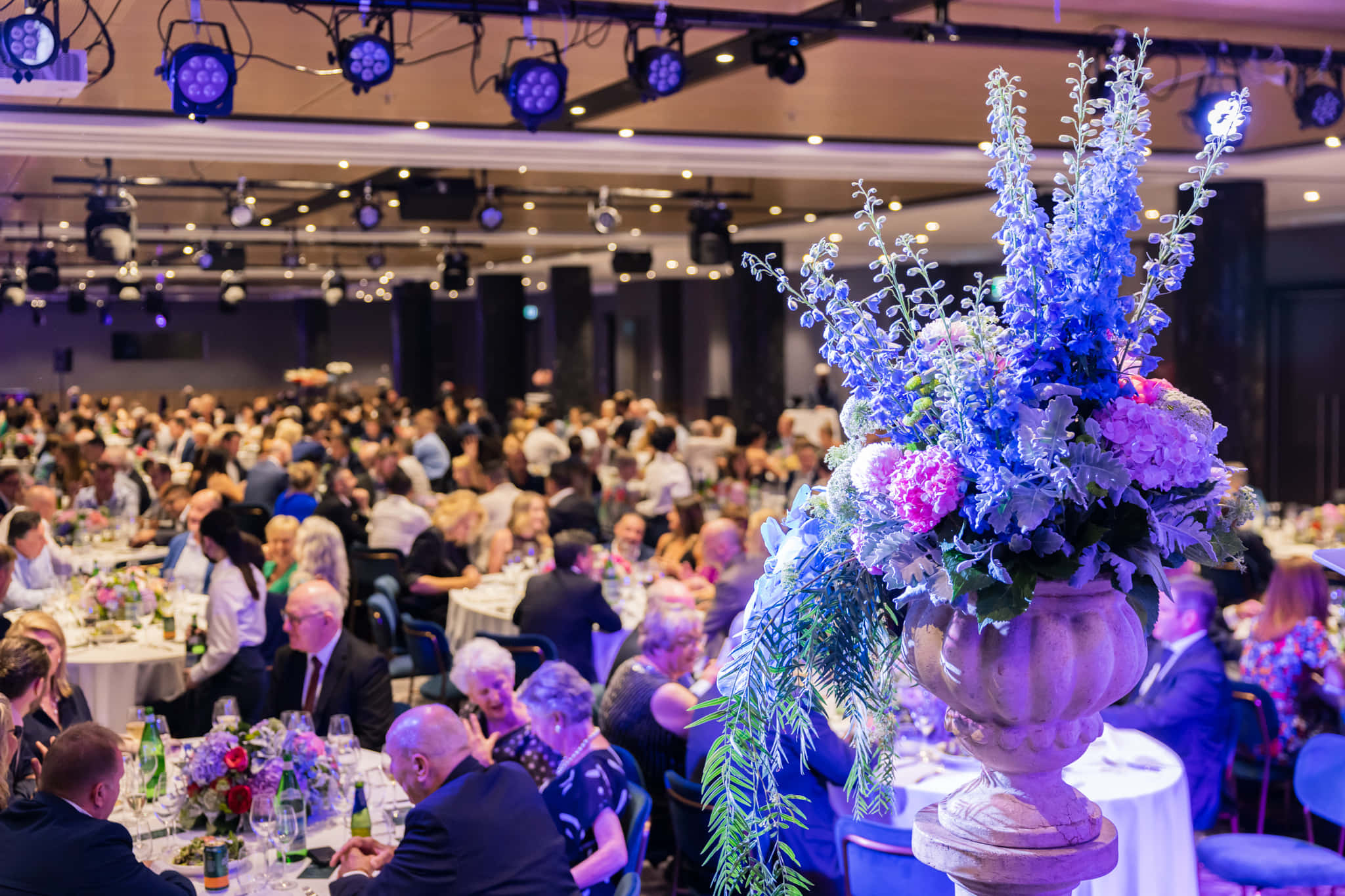 Four Rooms Combined 2