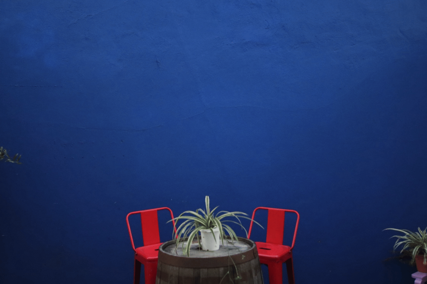 The Dalston Lounge 7