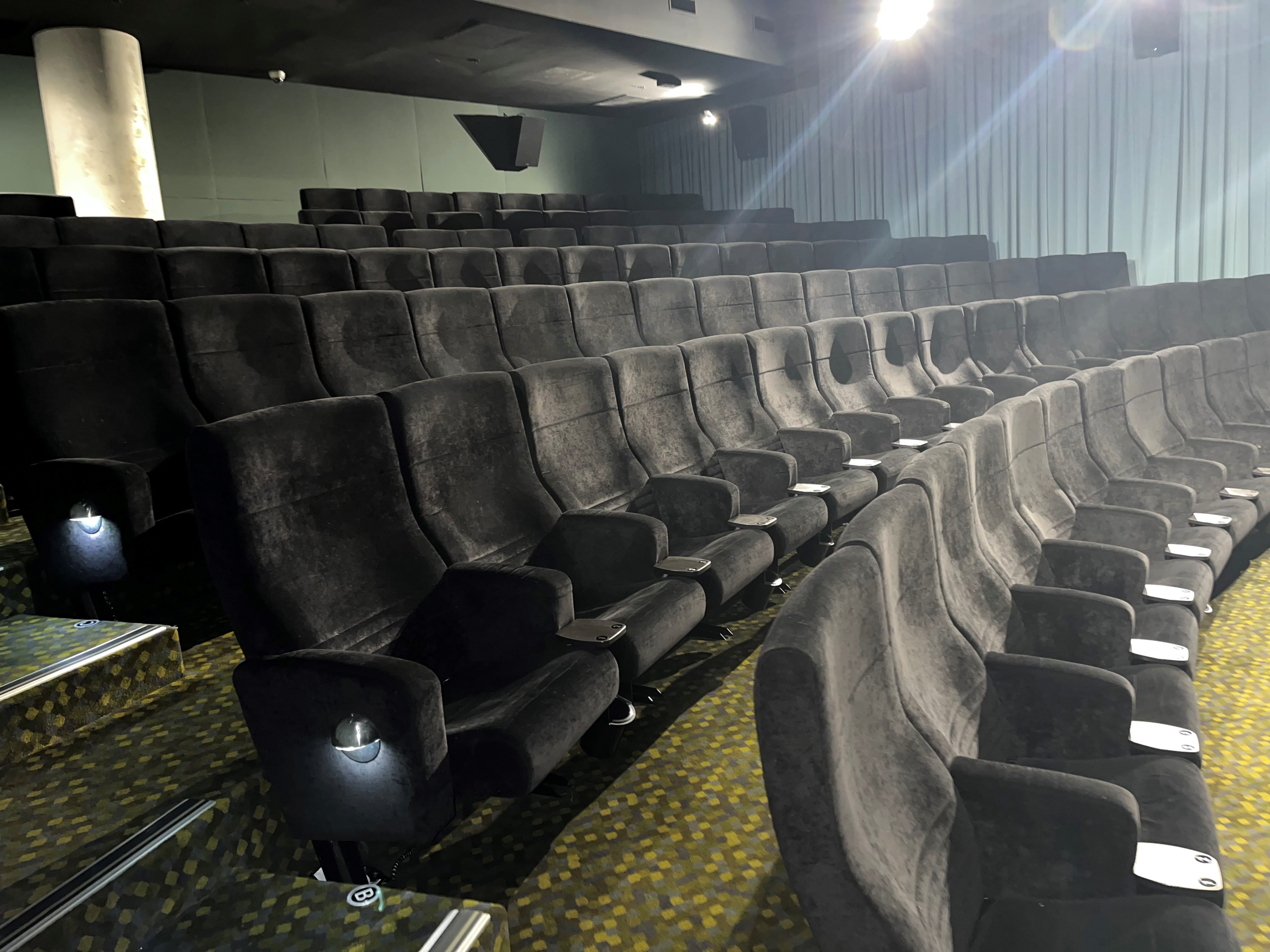 100 Seater Cinema  2