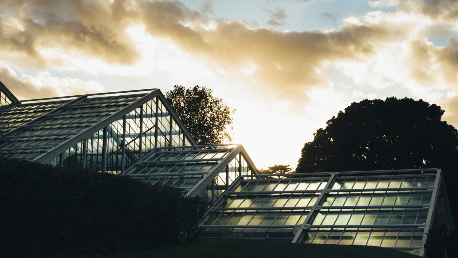 Princess of Wales Conservatory 6