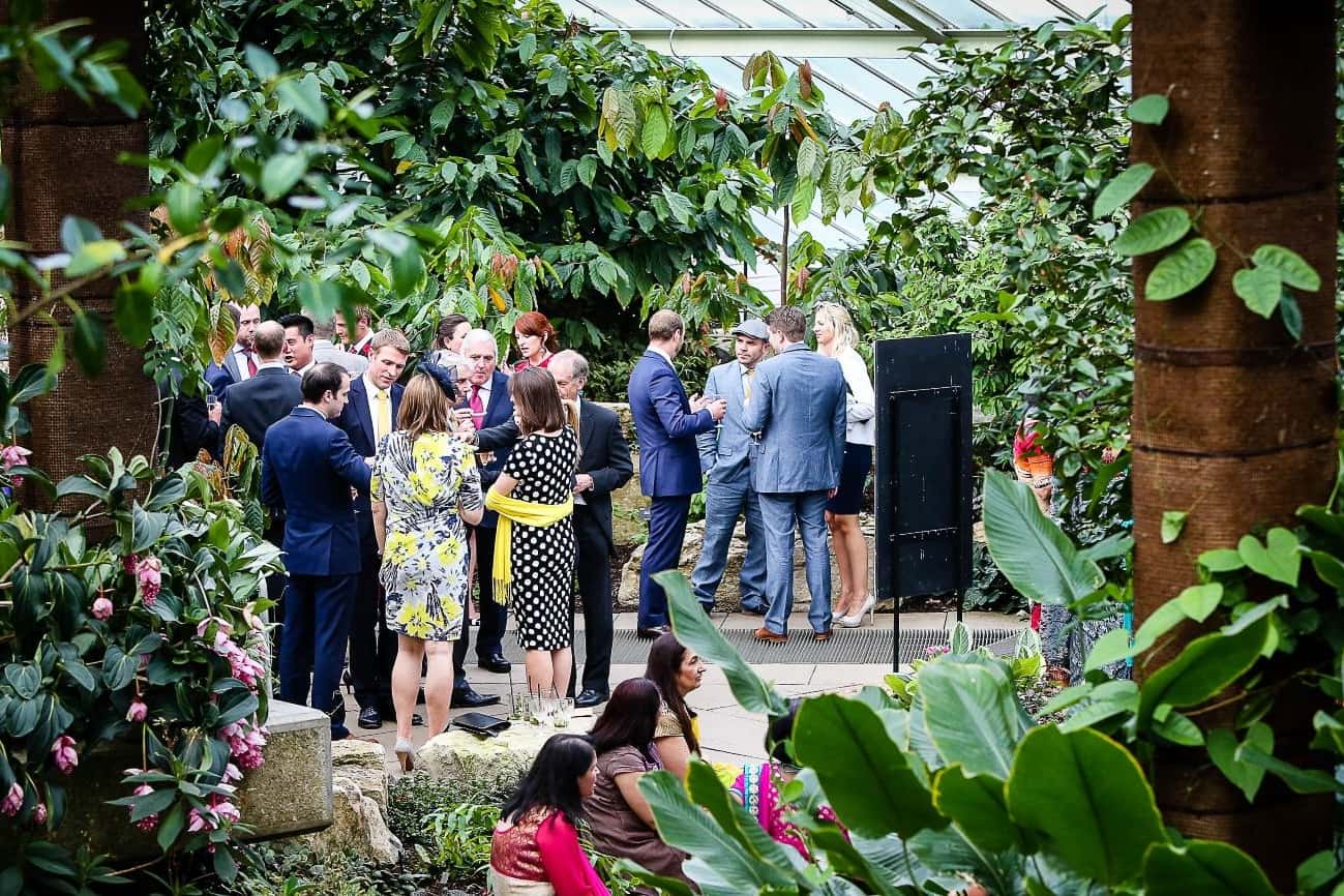 Princess of Wales Conservatory 2