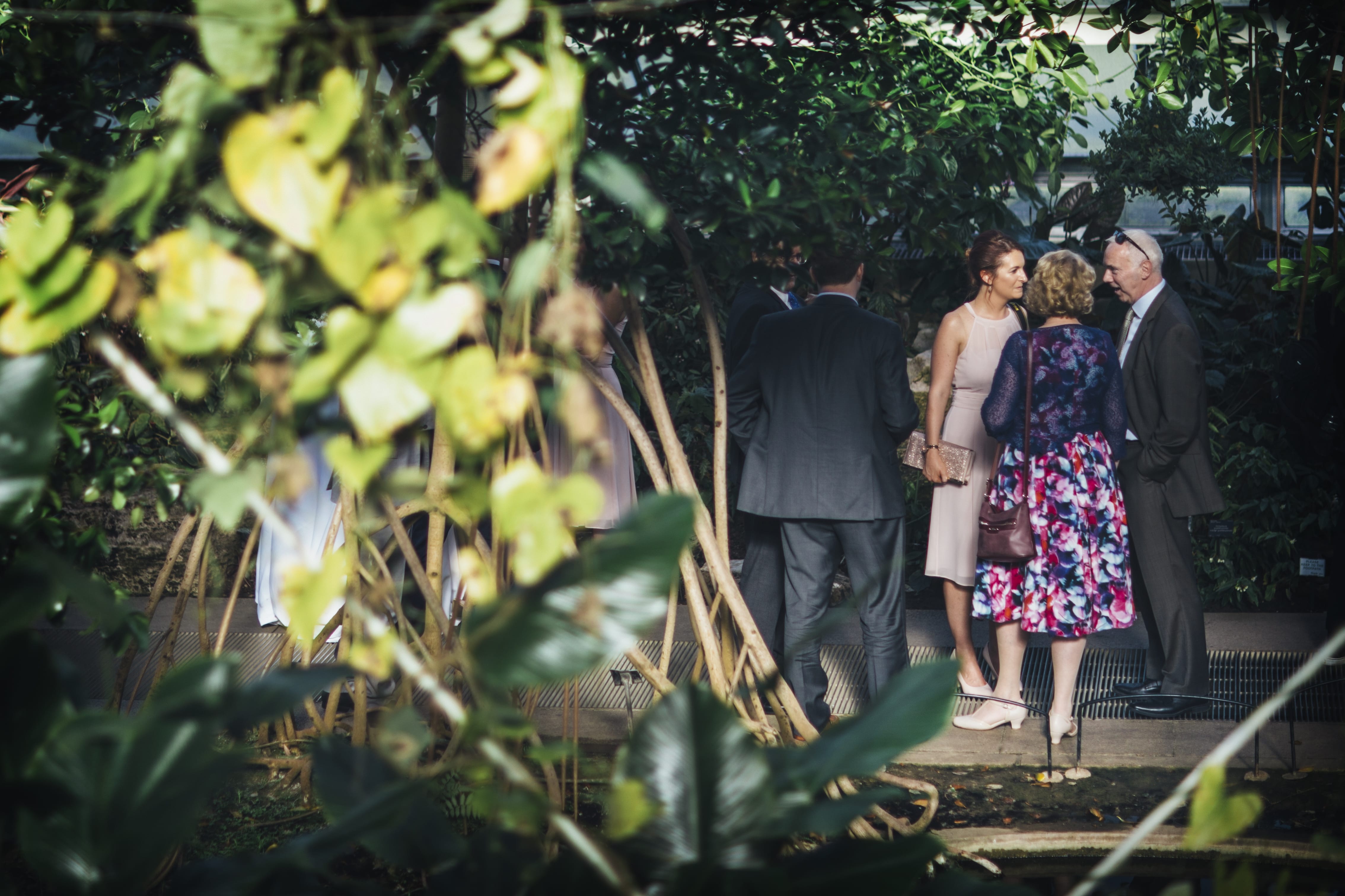 Princess of Wales Conservatory 4