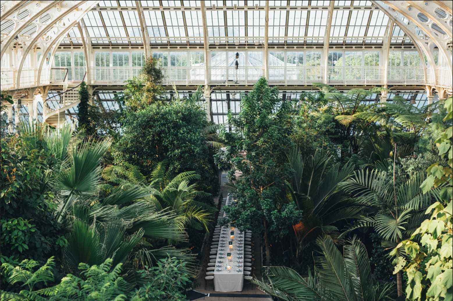 Temperate House 2