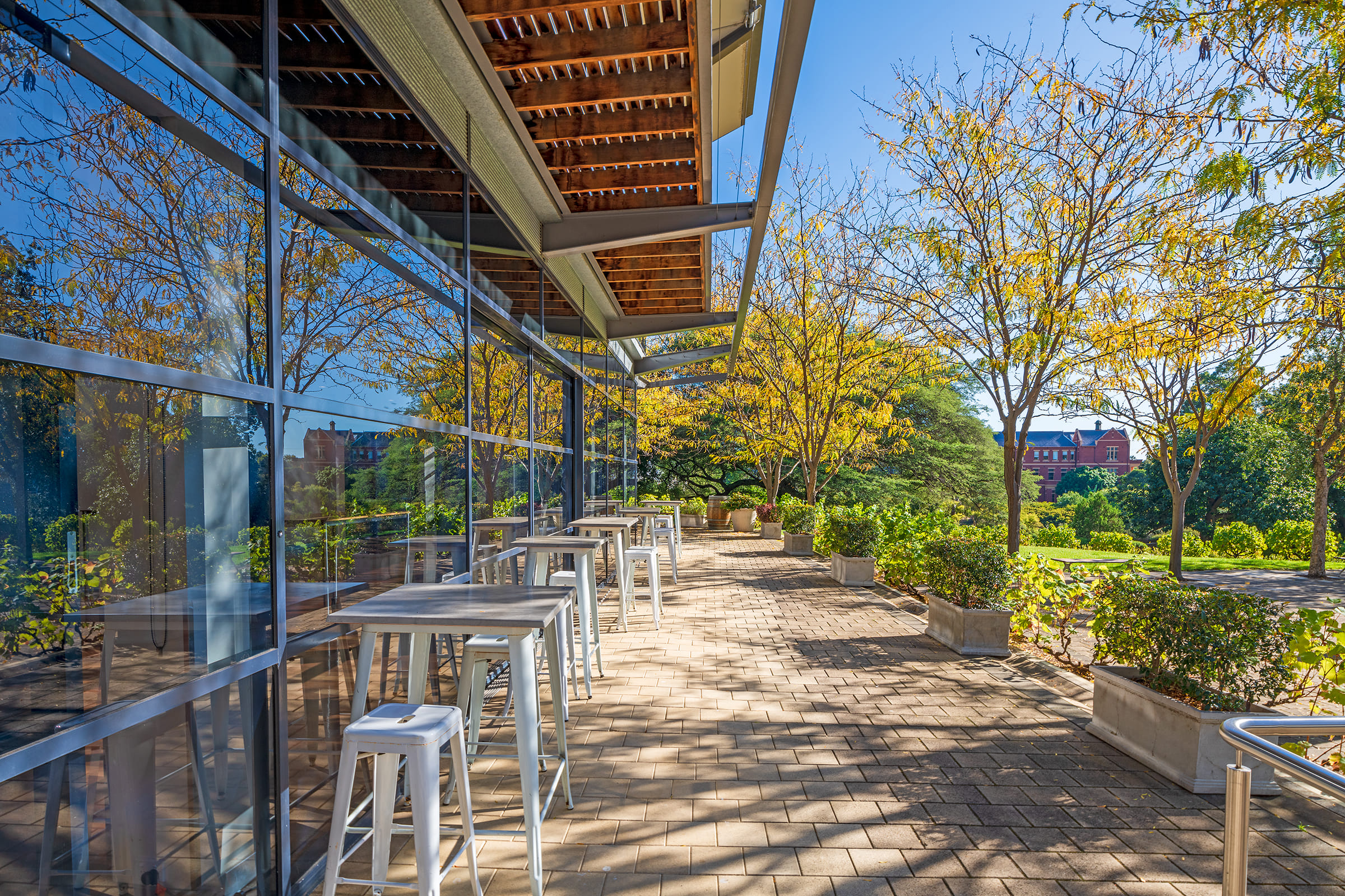 Vines Room & Terrace 2