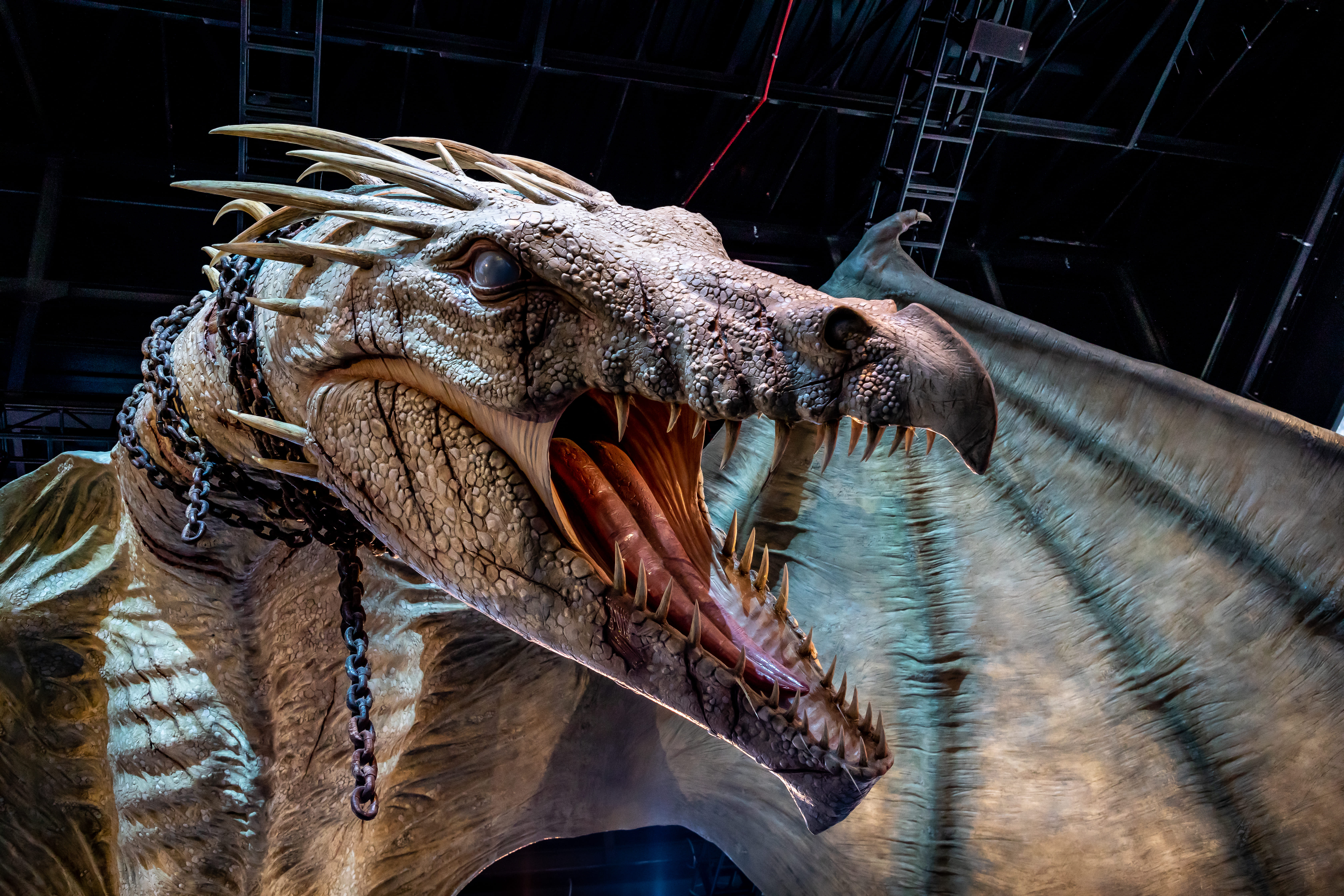 Dine Under The Dragon 