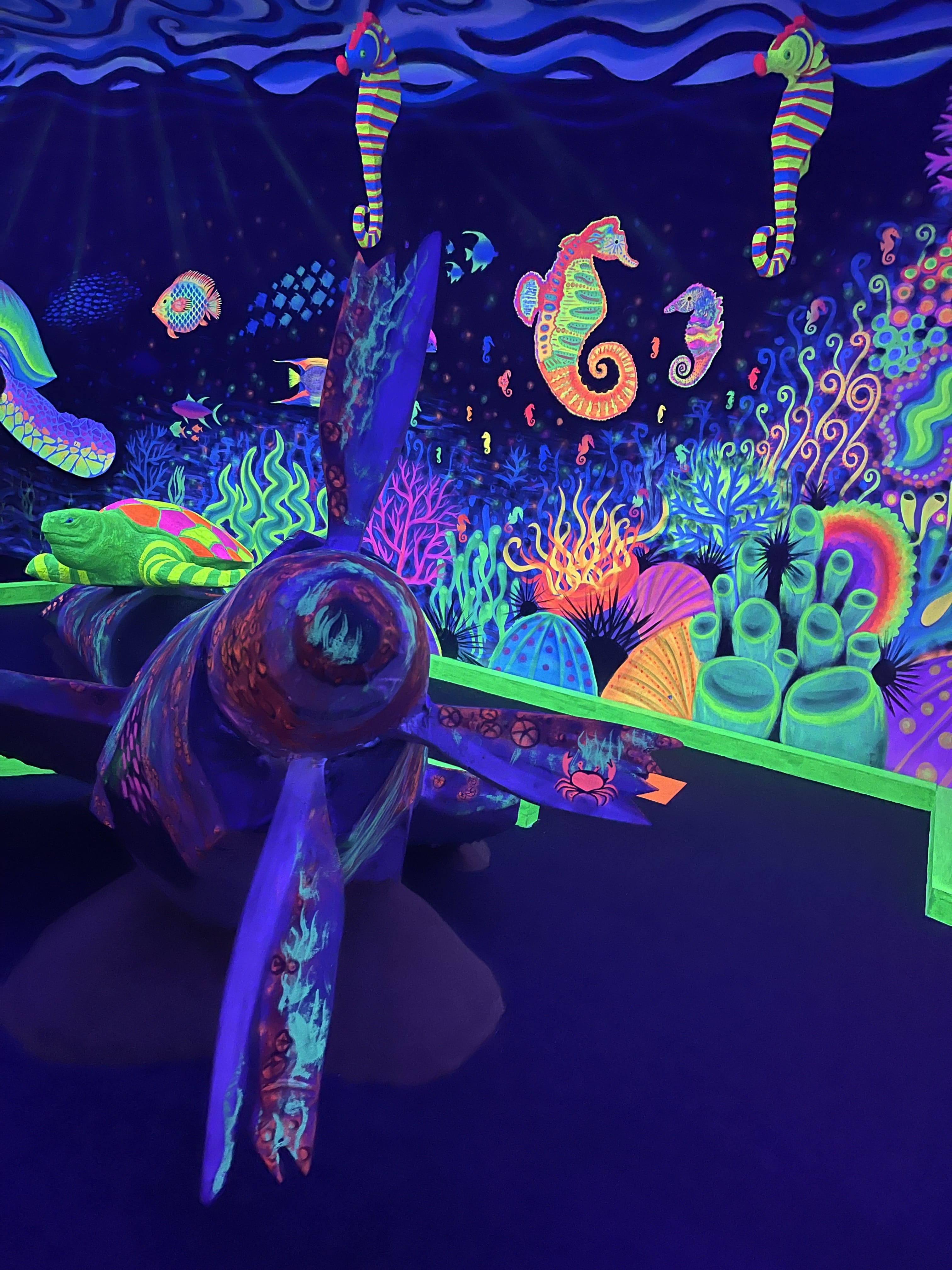 Aquatica Mini Golf 8