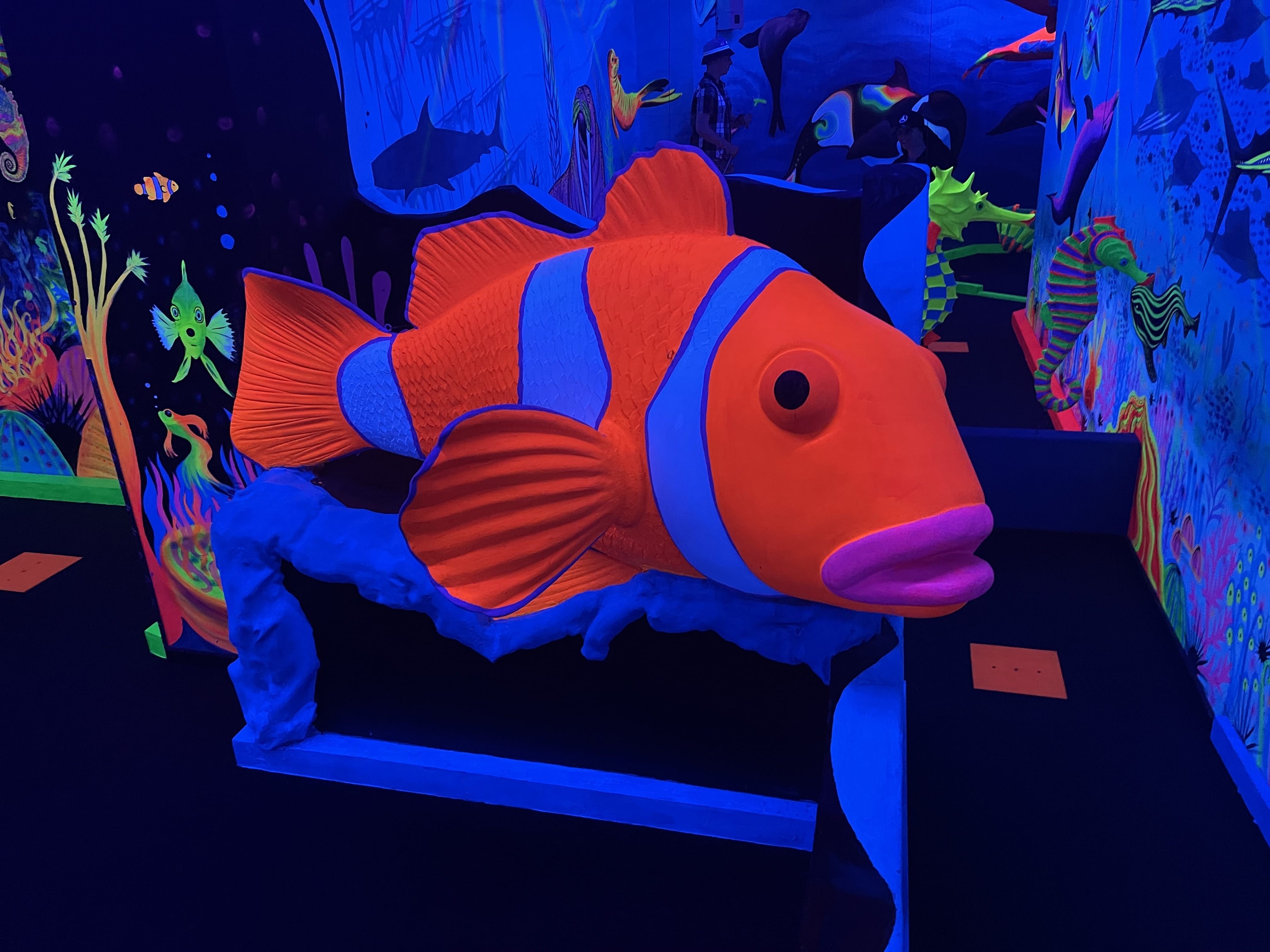 Aquatica Mini Golf 4