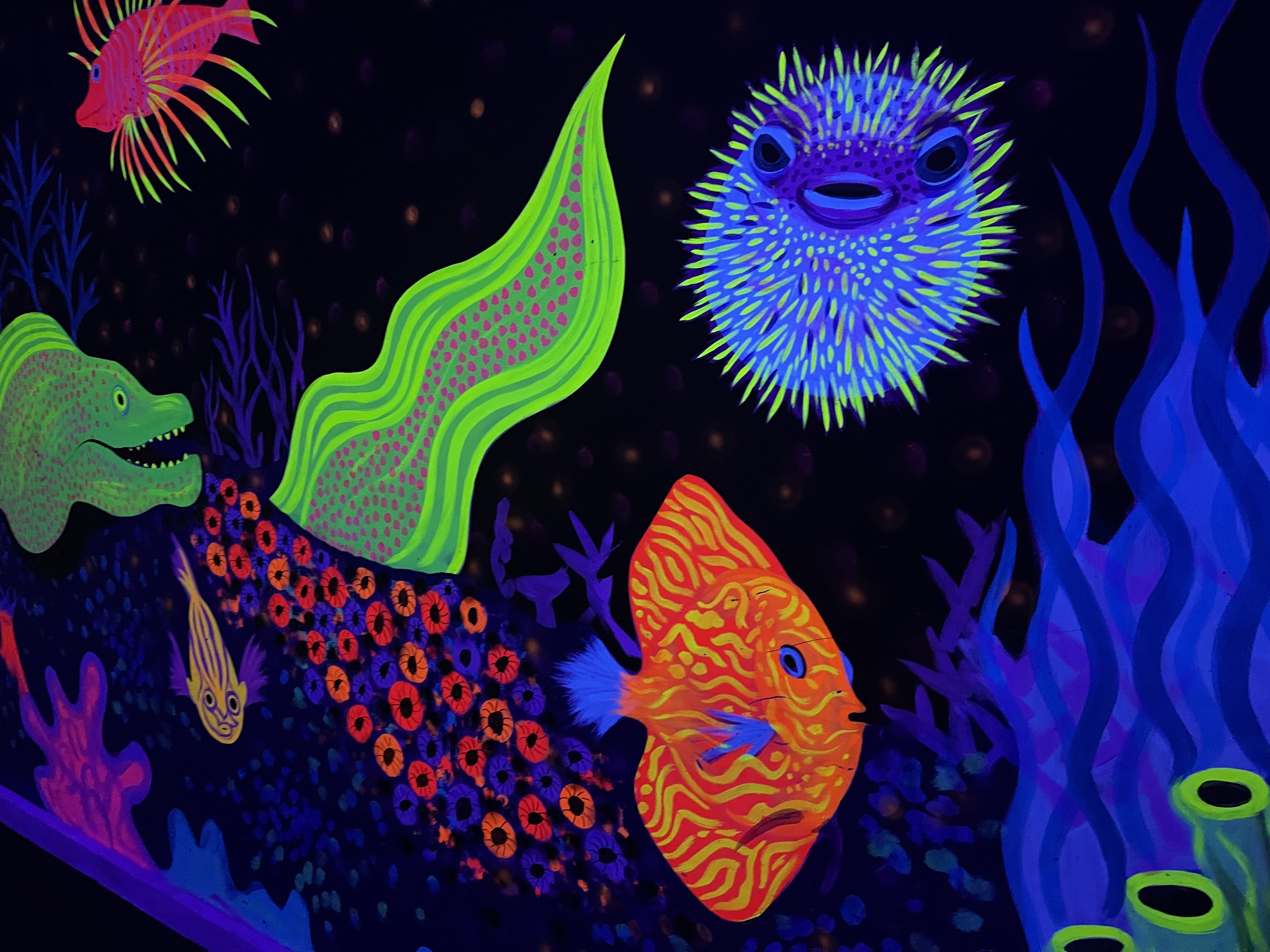 Aquatica Mini Golf 10