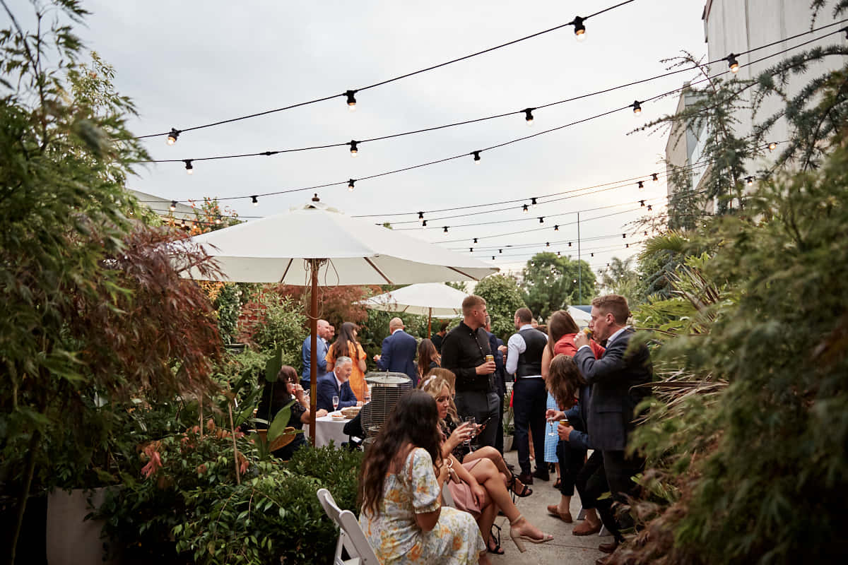 Dramatic greenhouse 2