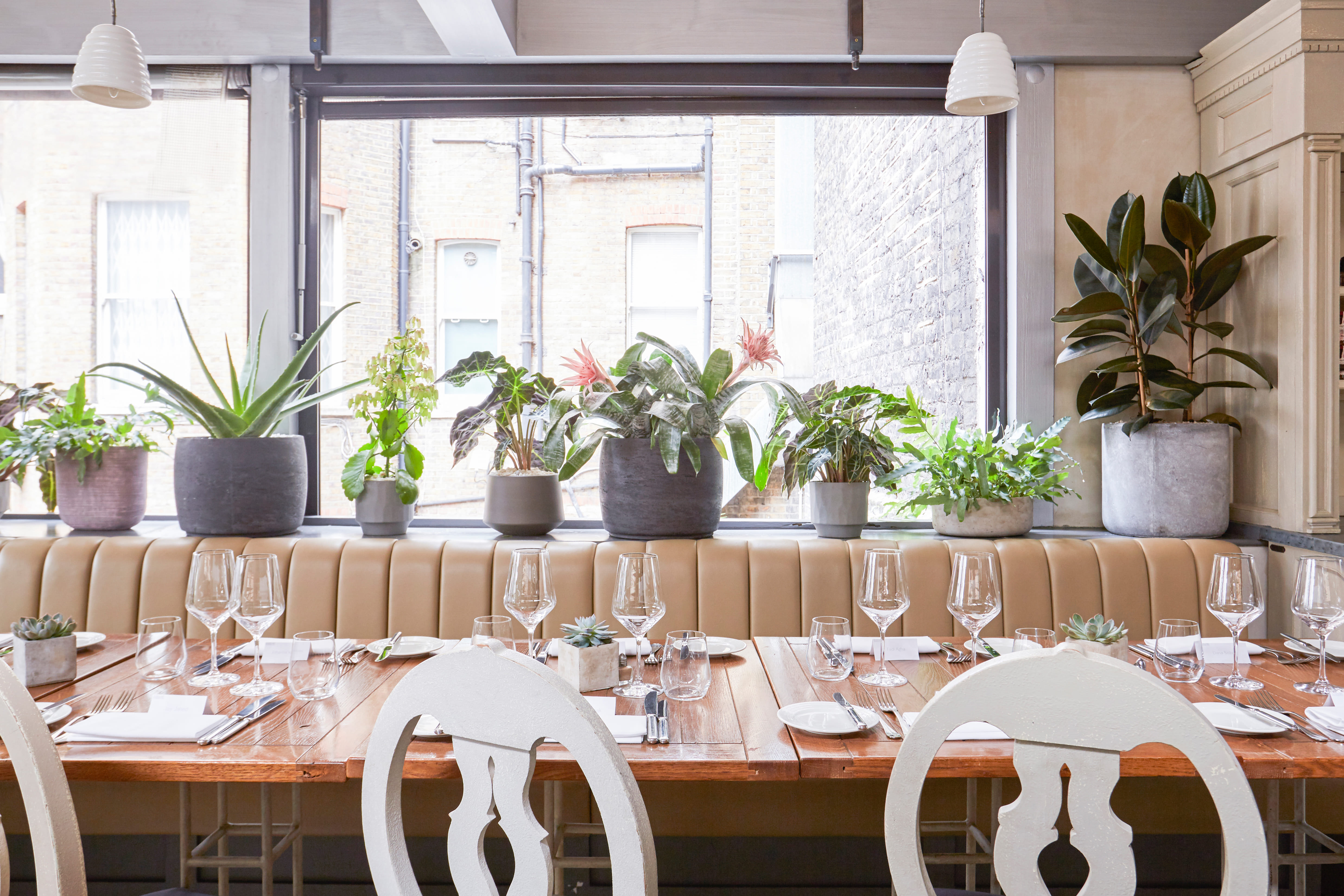 Private Terrace Room 