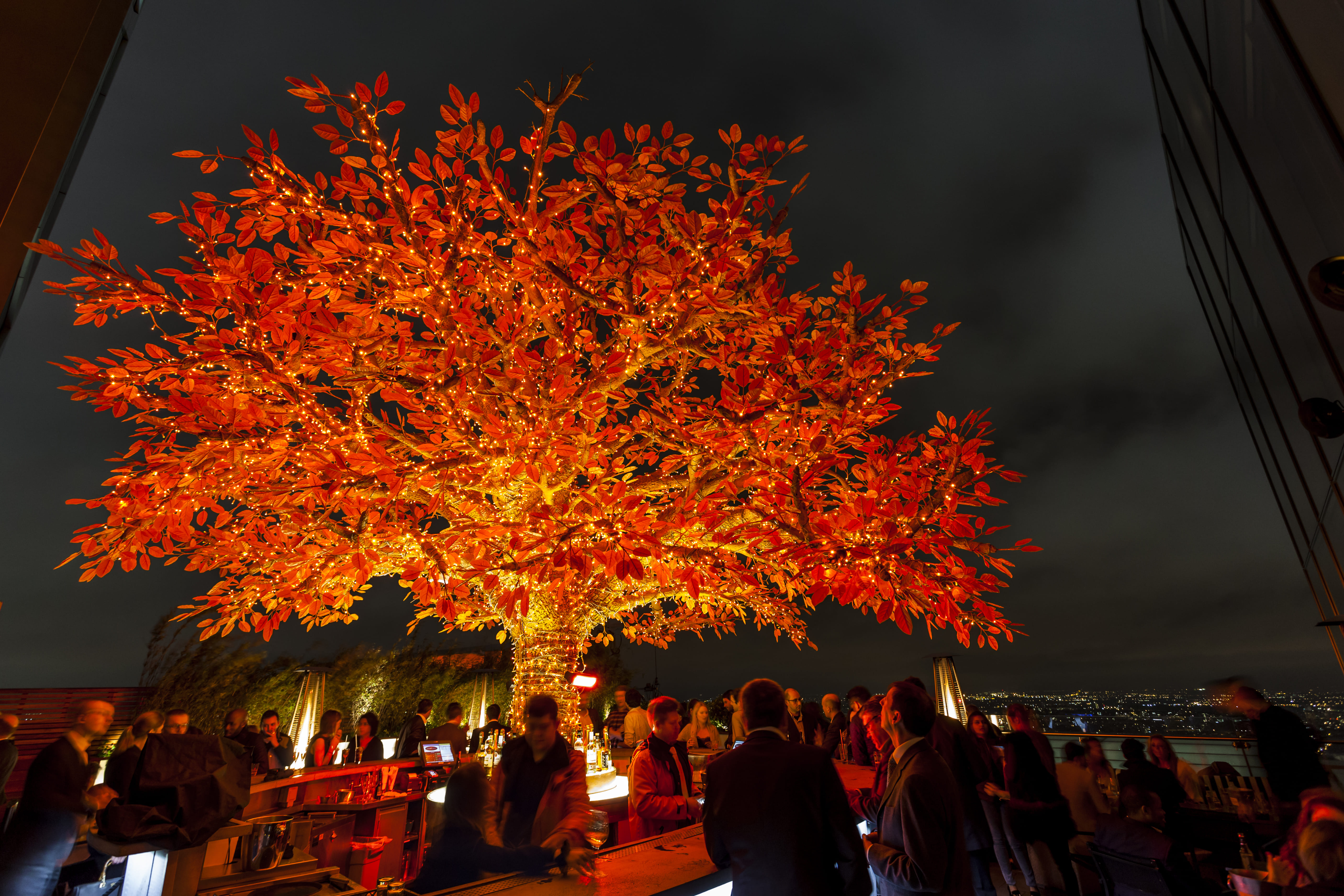 SUSHISAMBA Exclusive 6