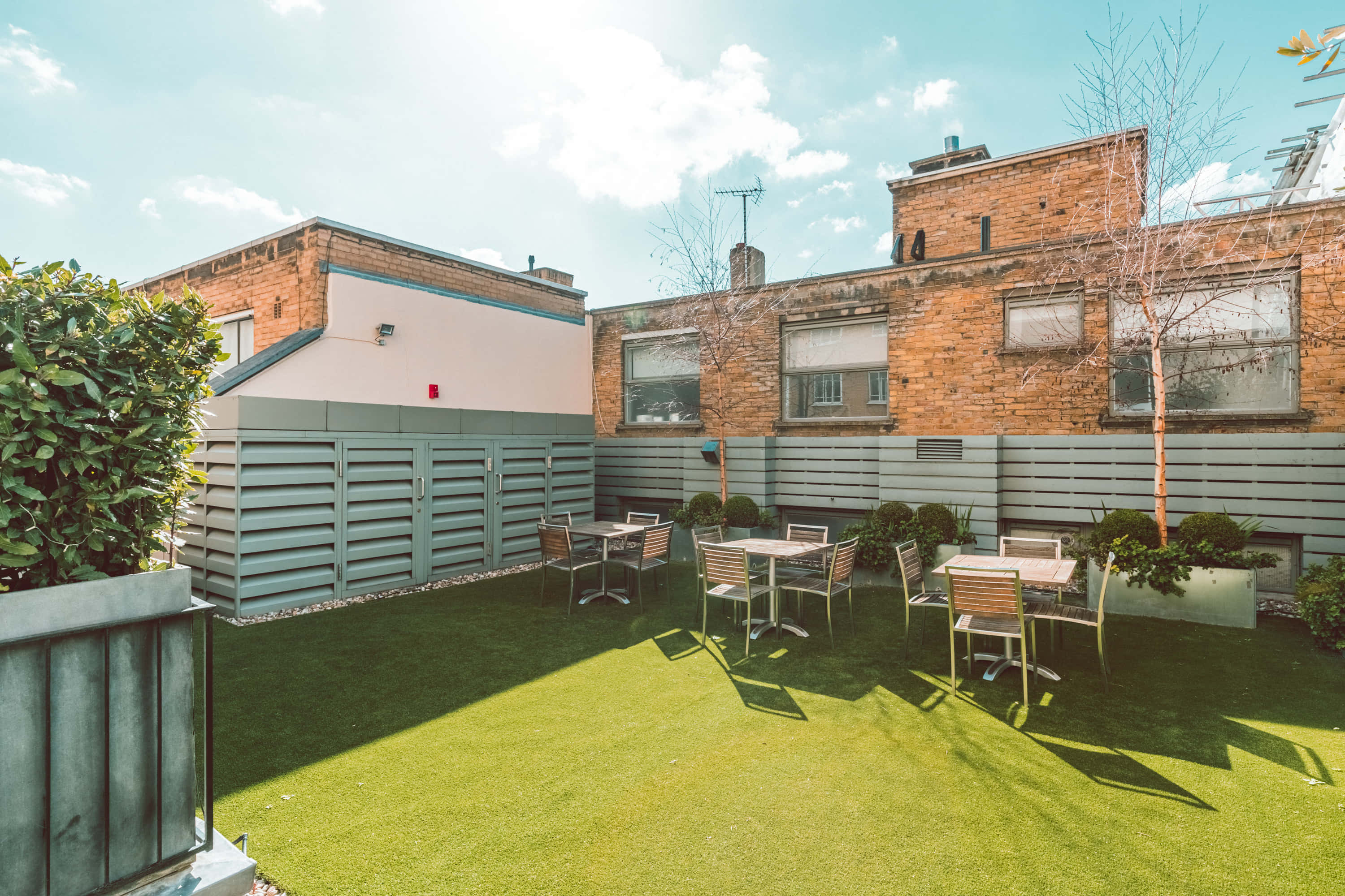 Ann Rylands & Terrace 0