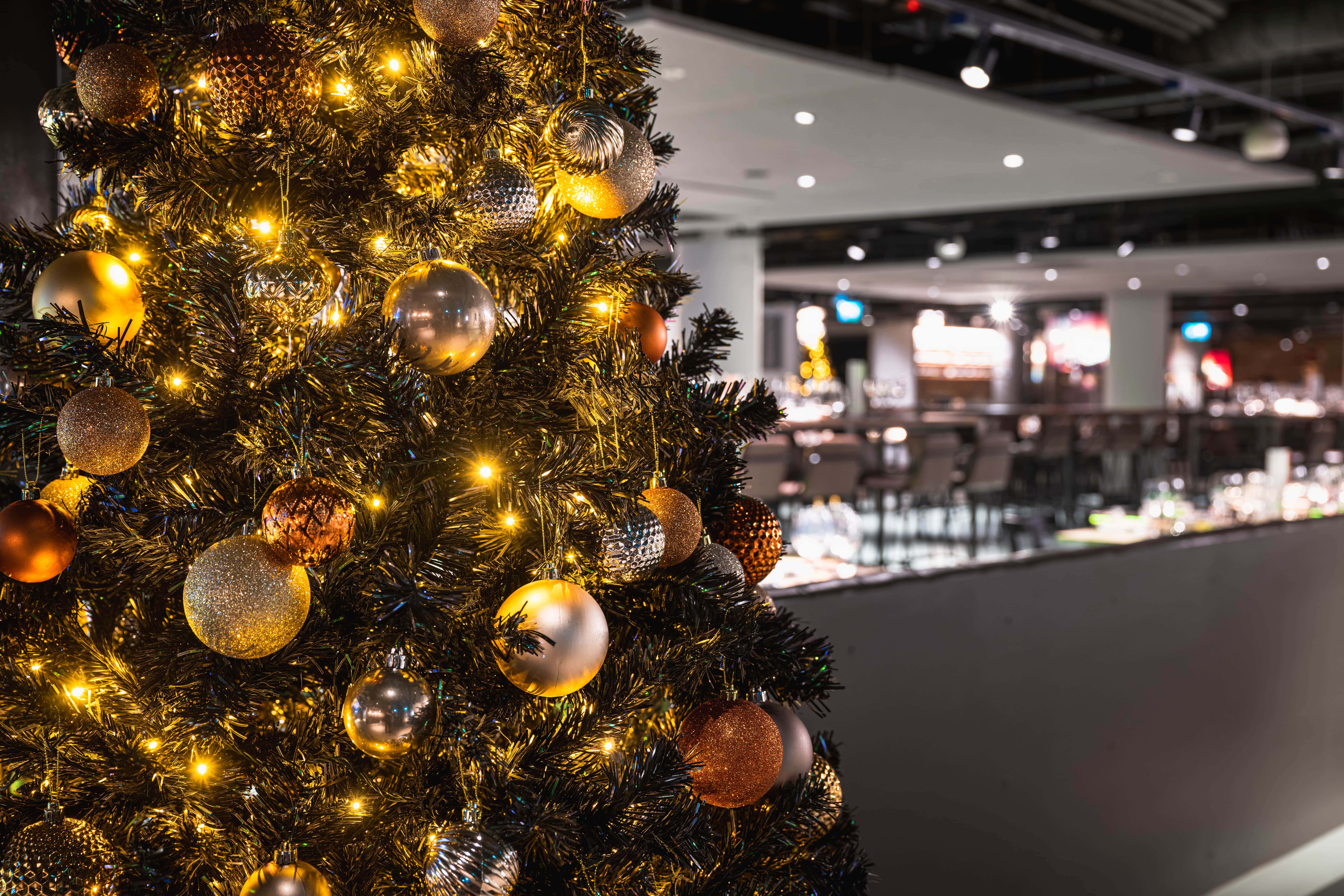 Christmas Party Package 0