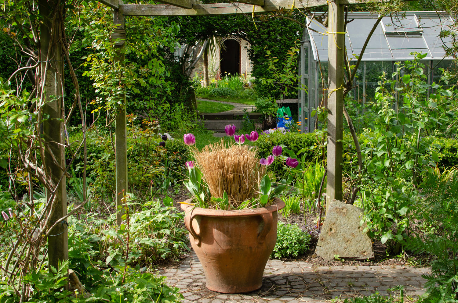 Garden - lawn or fire pit 3