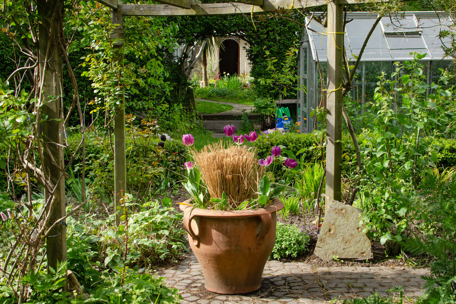 Garden - lawn or fire pit 3