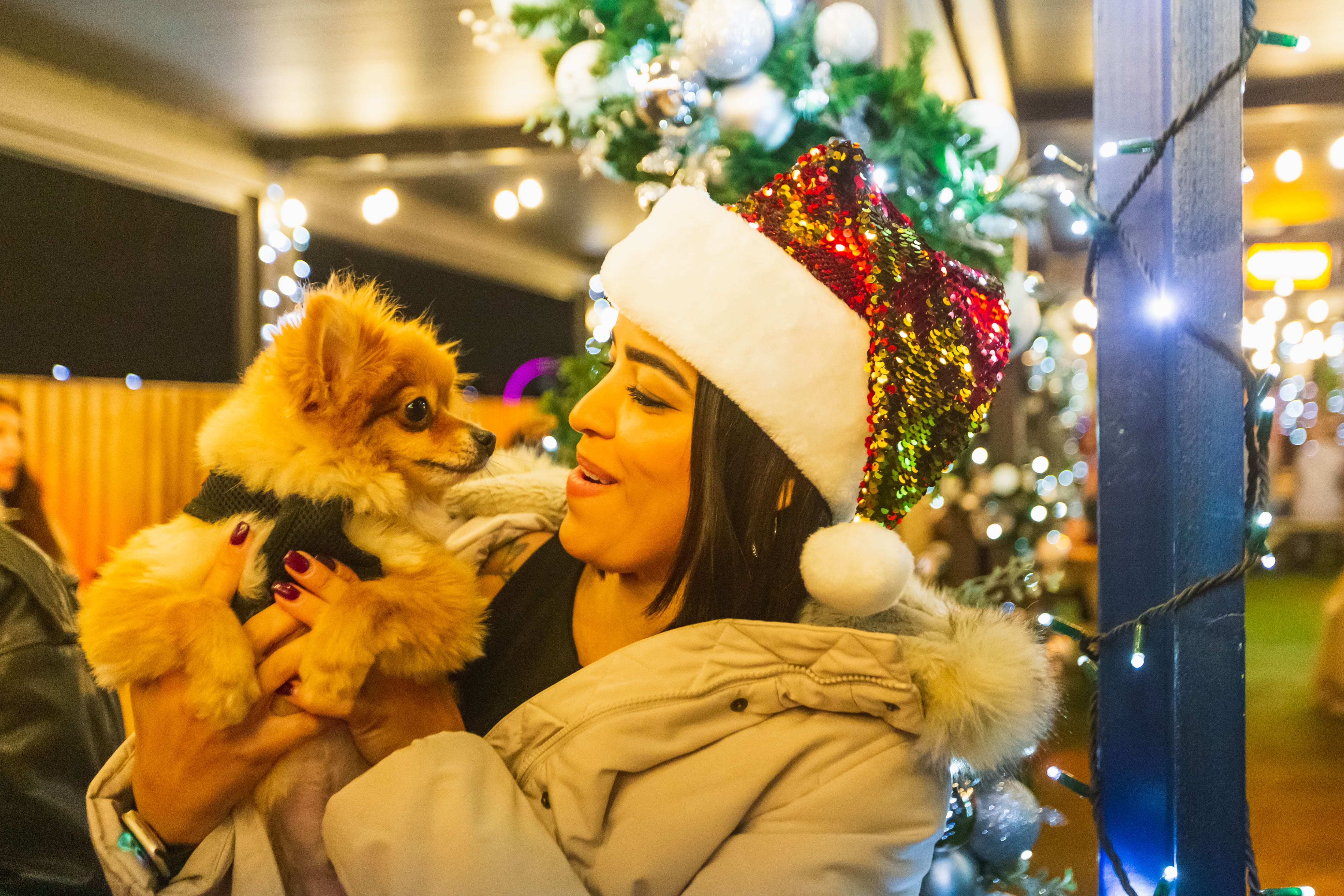 LONDON BRIDGE ROOFTOP (PERGOLA SHARD) 4