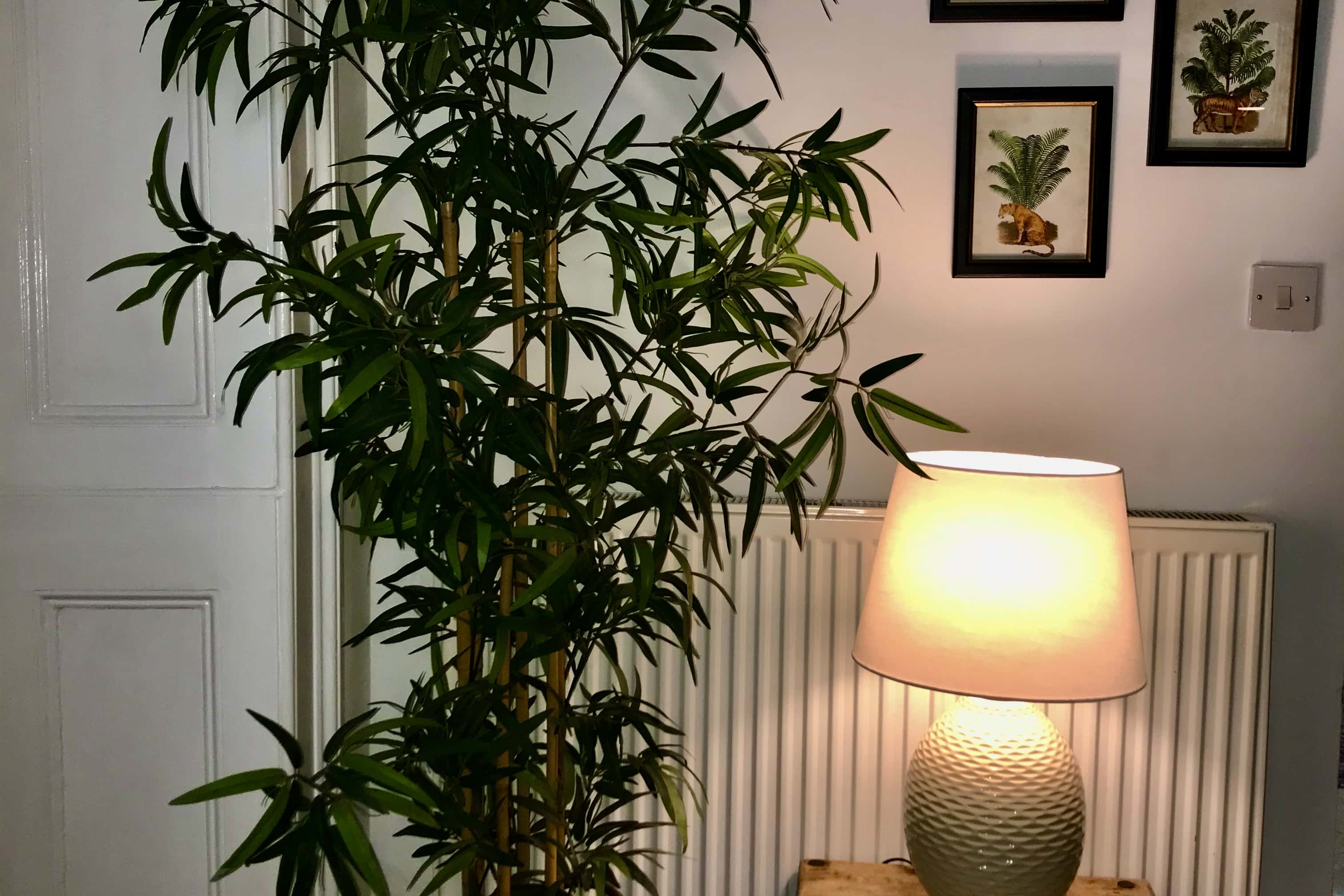 Cotswold House Near Bath & Bristol HOT TUB 13