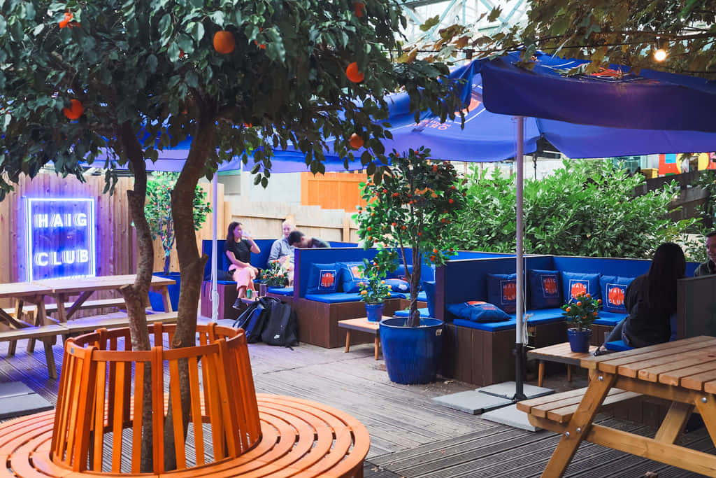 Winter | The Garden 3