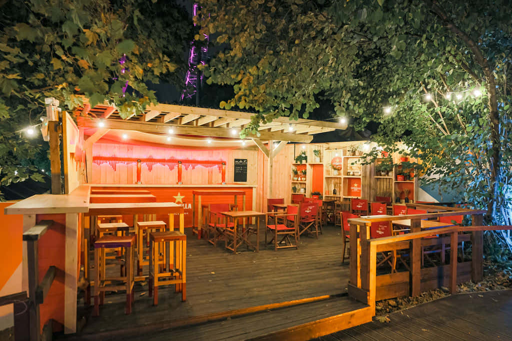 Winter | The Garden 6