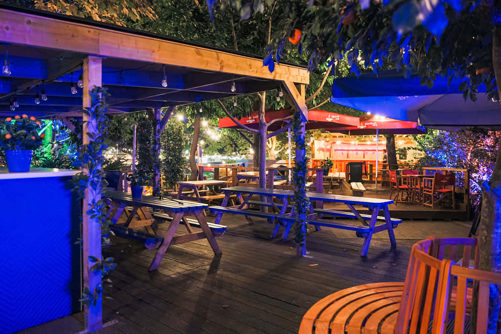 Winter | The Garden 1