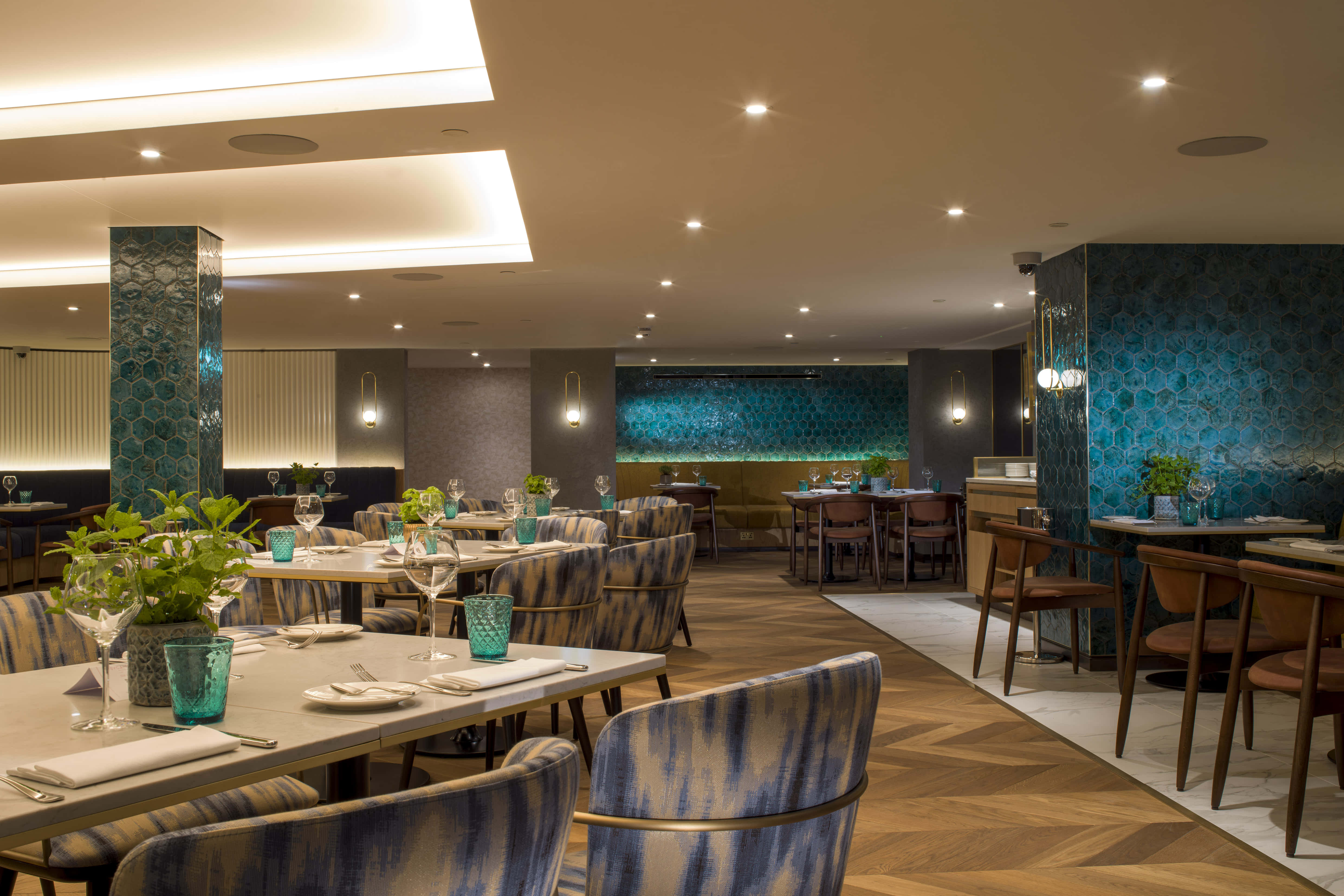 Sycamore Vino Cucina 0