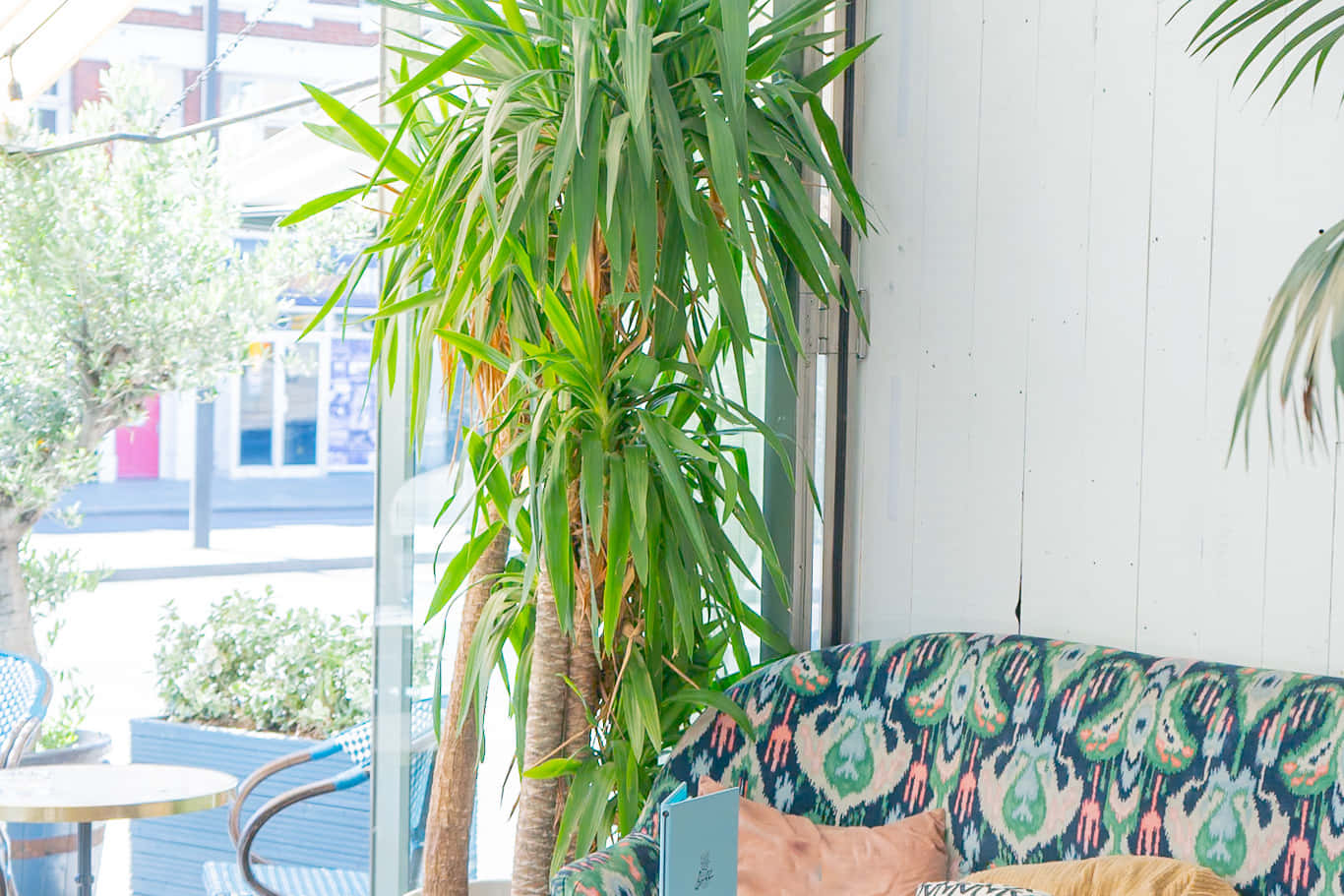 Cosy Living Room & Cocktail Bar 12