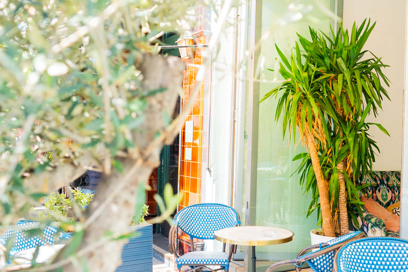 Cosy Living Room & Cocktail Bar 25