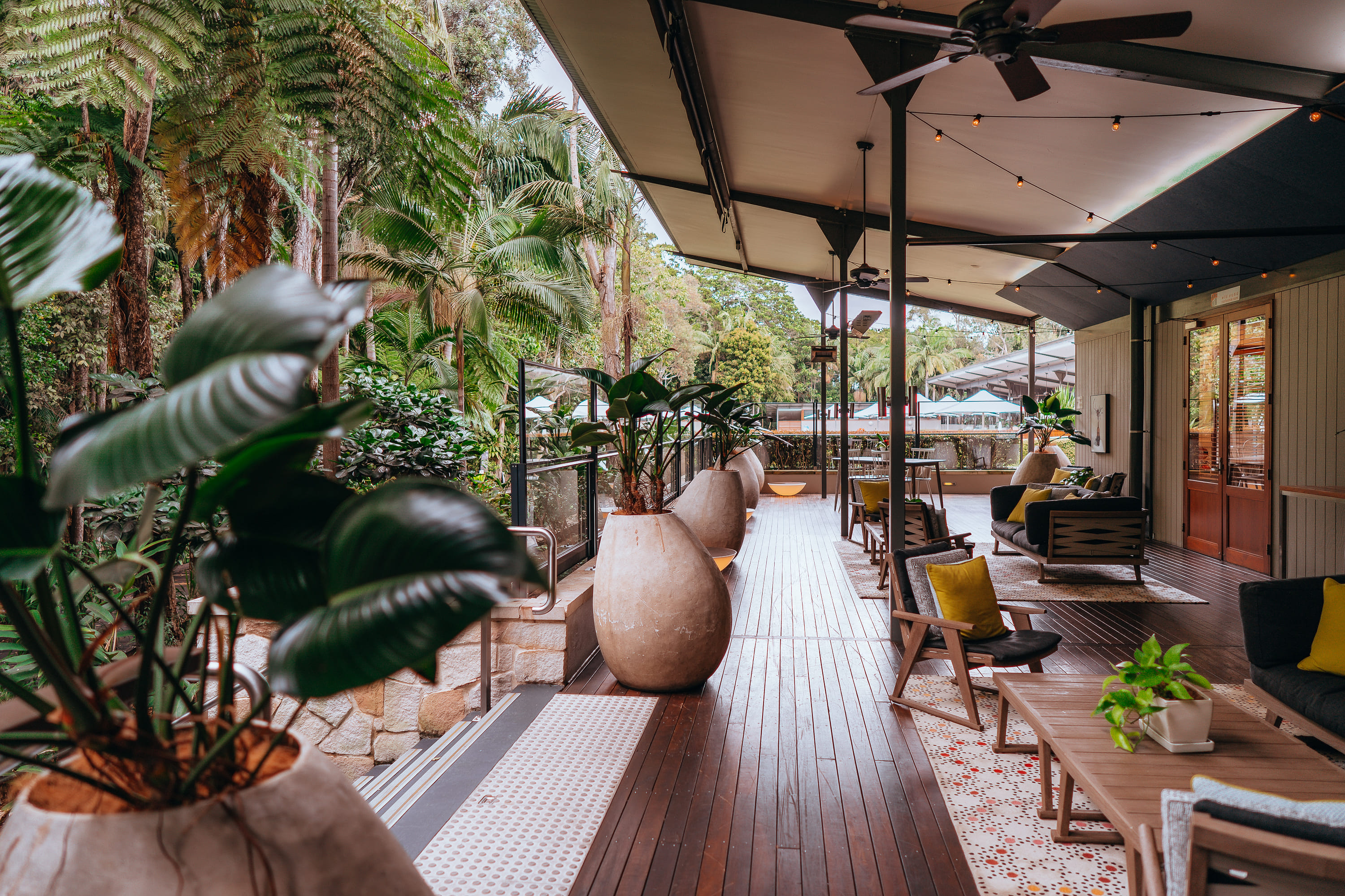 Rainforest Verandah 1