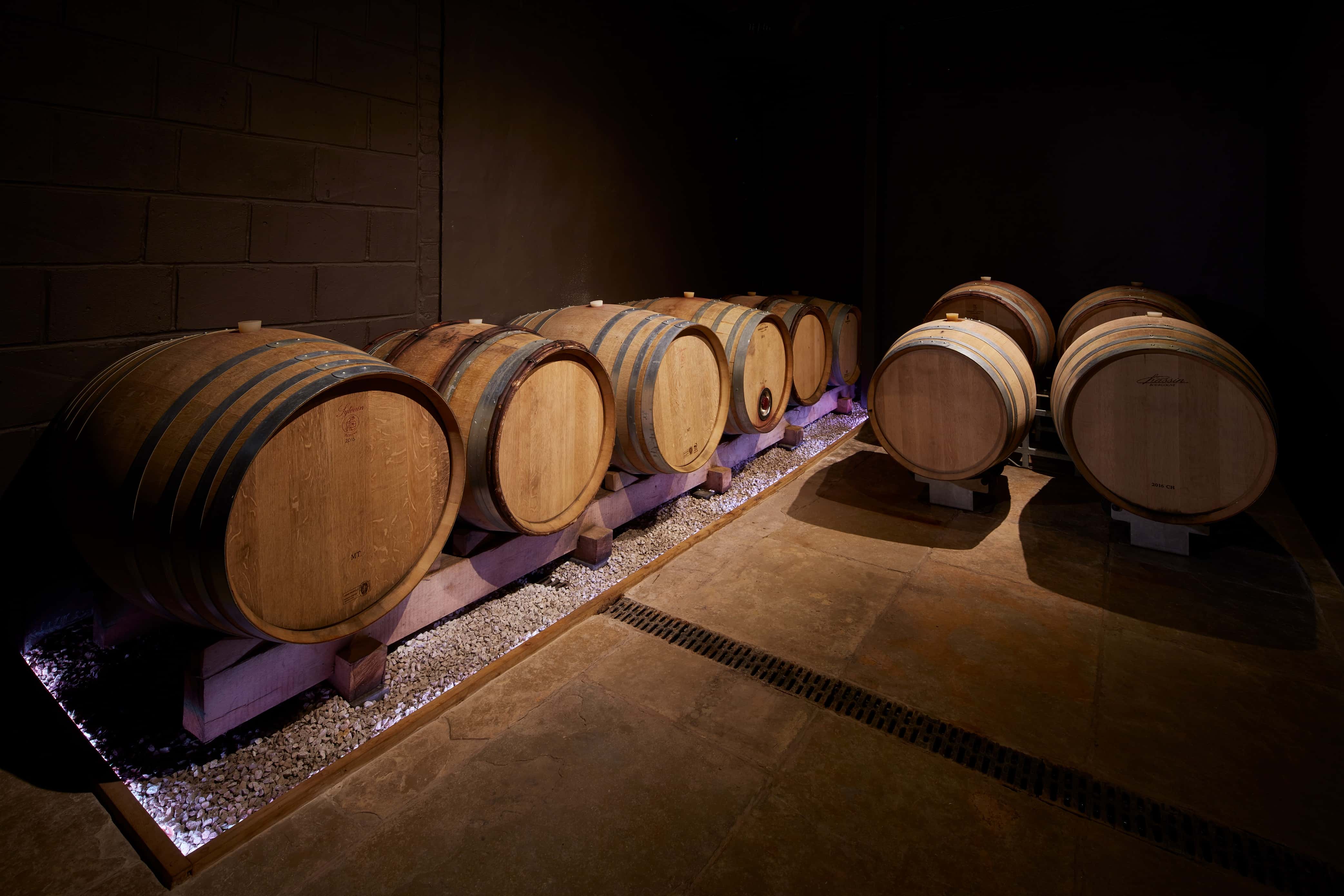 Barrel Room 4