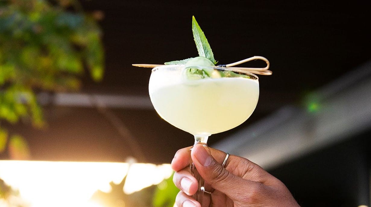 Dandelion Bar & Restaurant 5