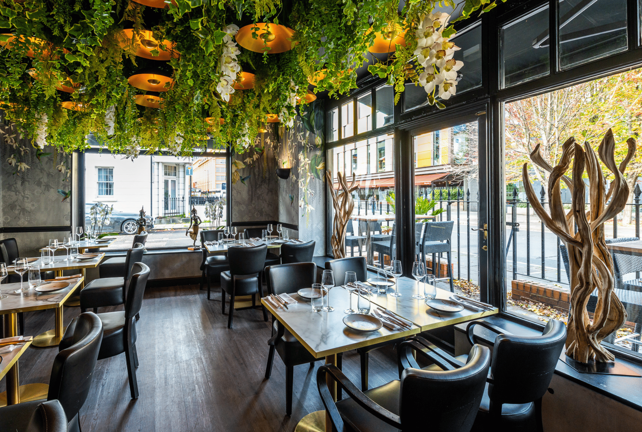 Sticky Mango Waterloo 17