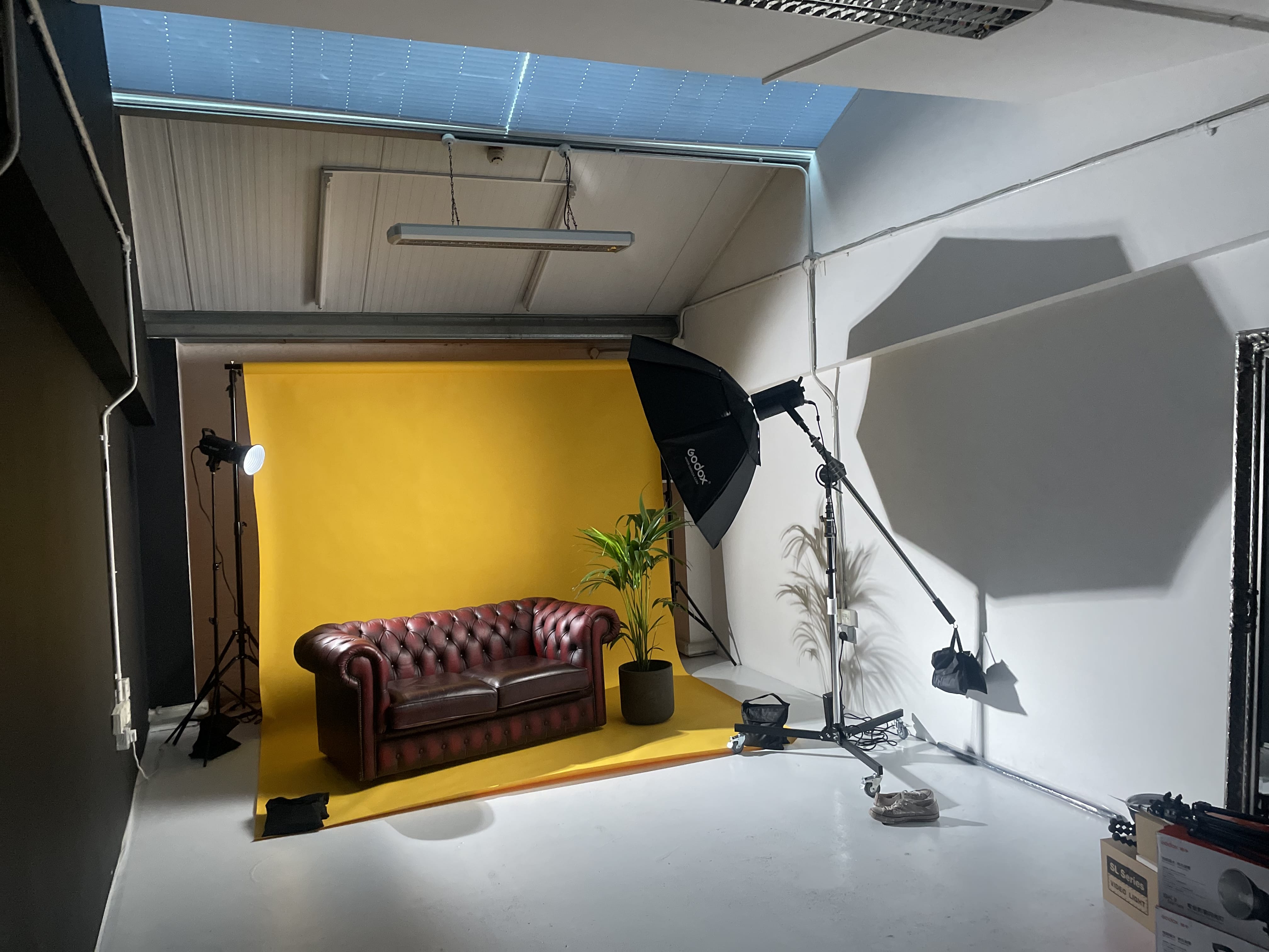 Cow Photography Studios 1