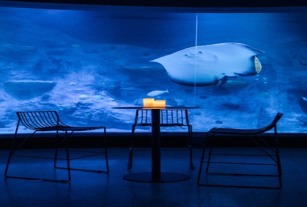 SEA LIFE Melbourne Aquarium 2