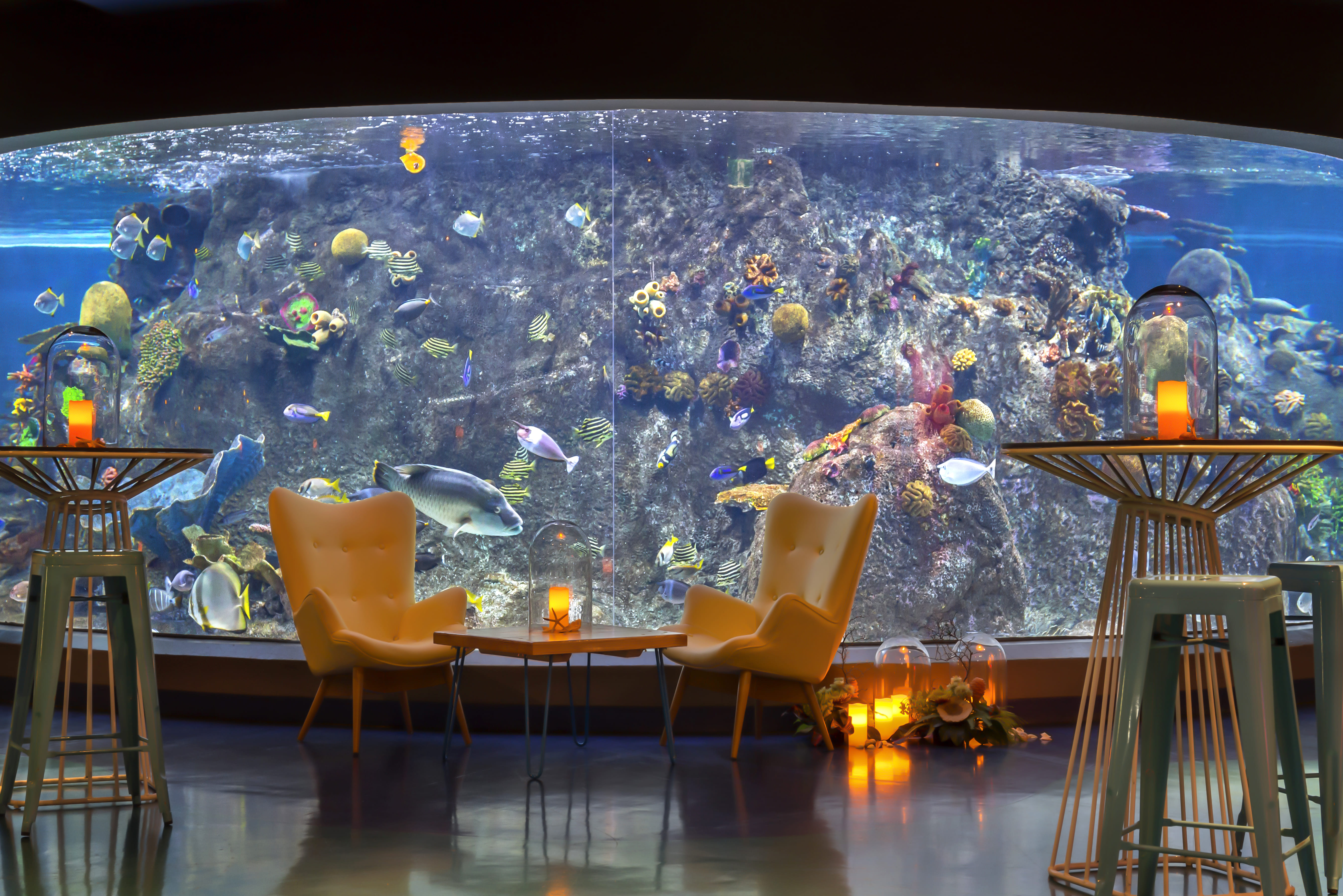 SEA LIFE Melbourne Aquarium 6