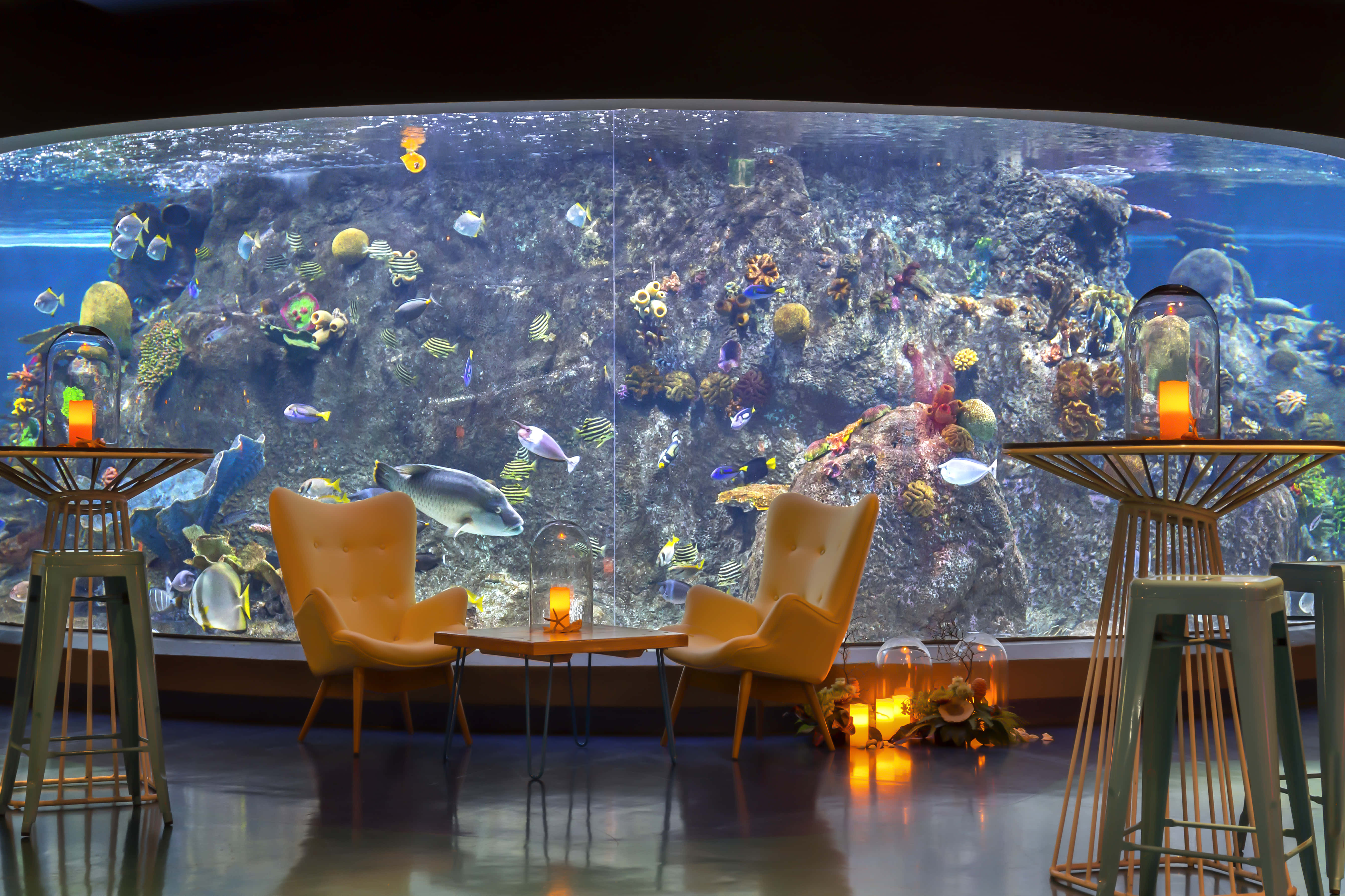 SEA LIFE Melbourne Aquarium 6