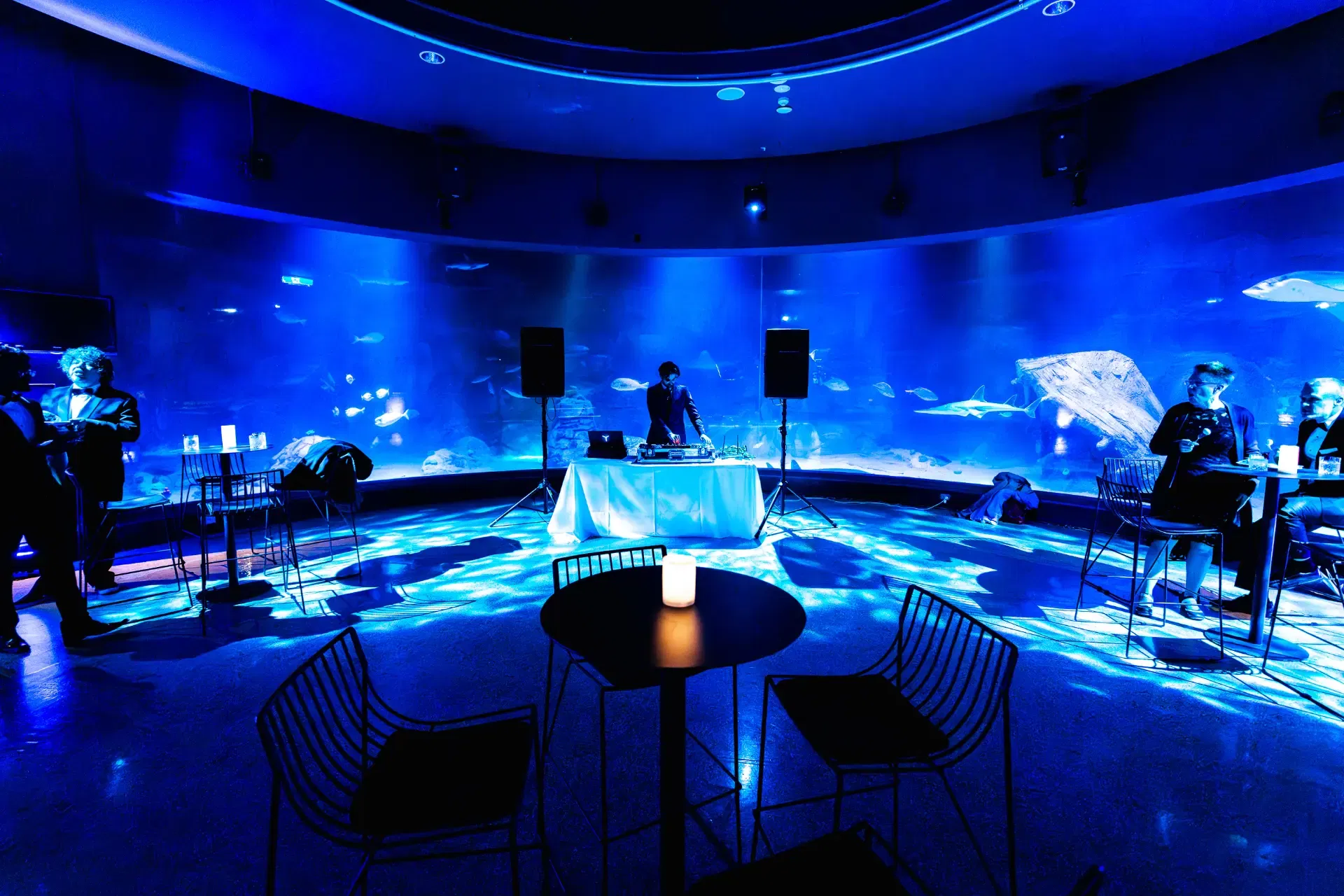 Oceanarium | SEA LIFE Melbourne Aquarium 1
