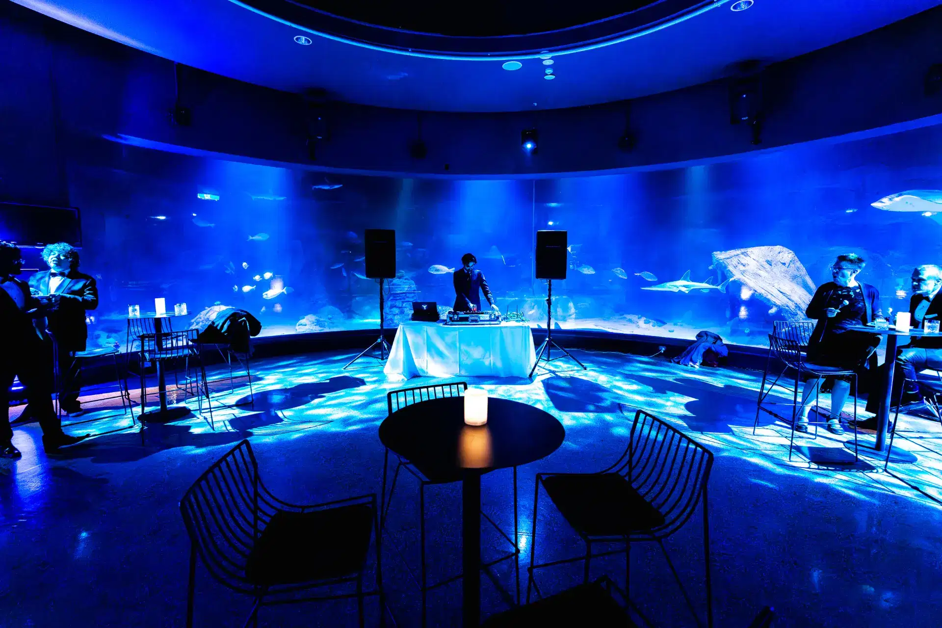 Oceanarium | SEA LIFE Melbourne Aquarium 1