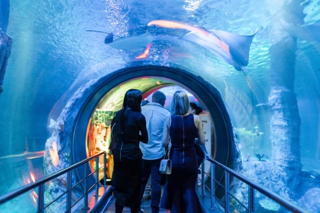 SEA LIFE Melbourne Aquarium